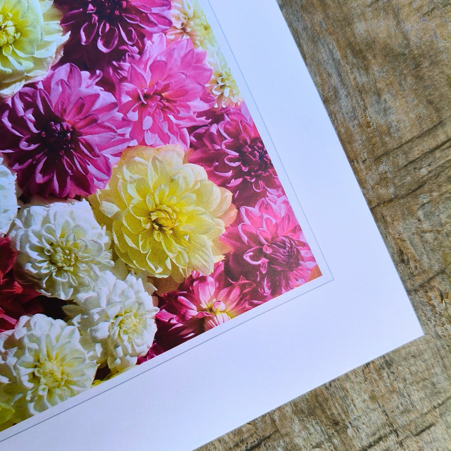 Soft Pink Dahlia flatlay photography by Gracie-Mae Photography.