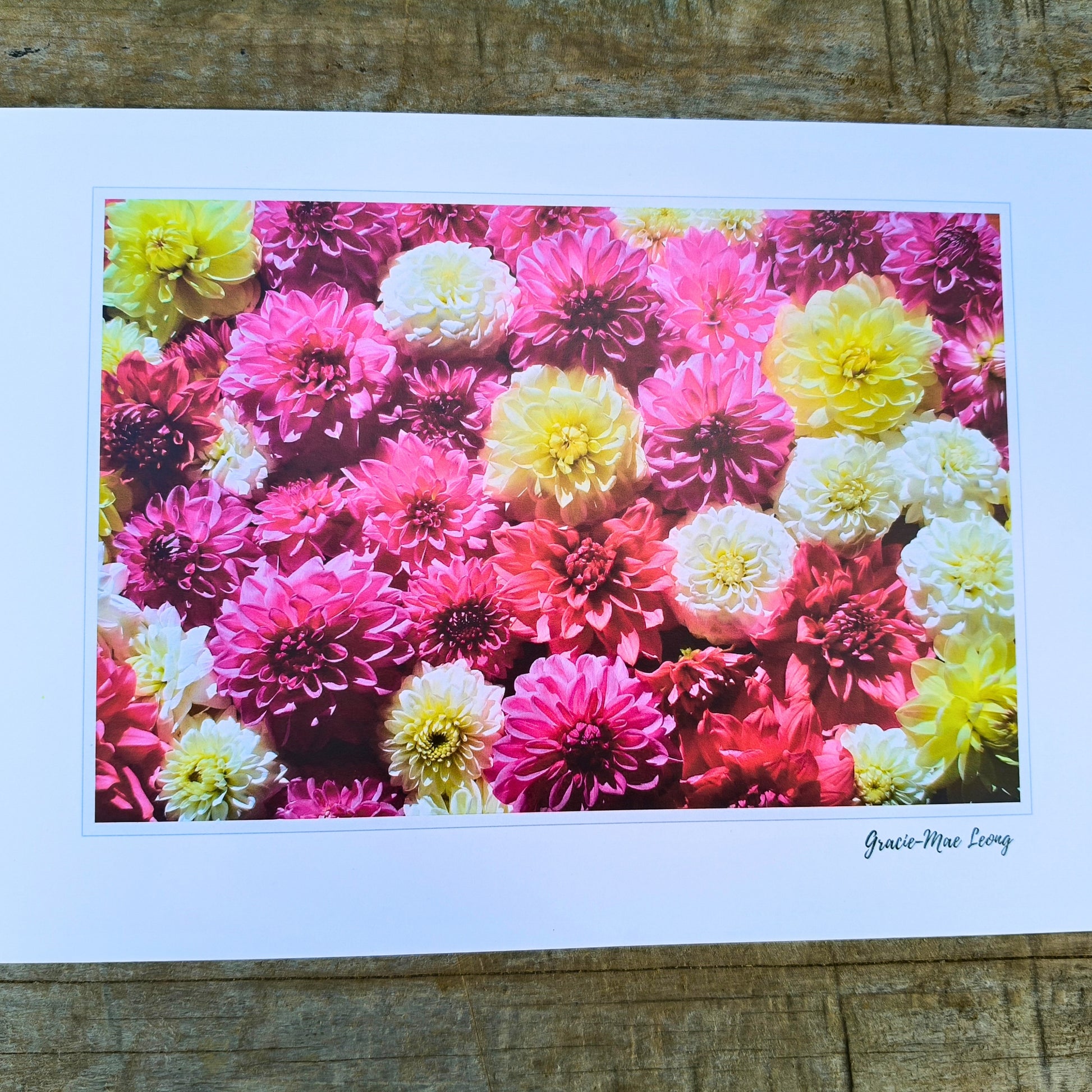 Soft Pink Dahlia flatlay photography by Gracie-Mae Photography.