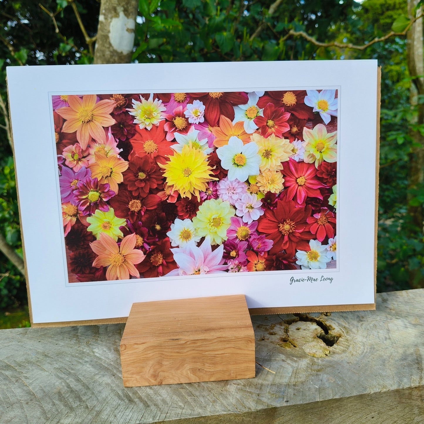 All The Single Dahlias flatlay photography by Gracie-Mae Photography.