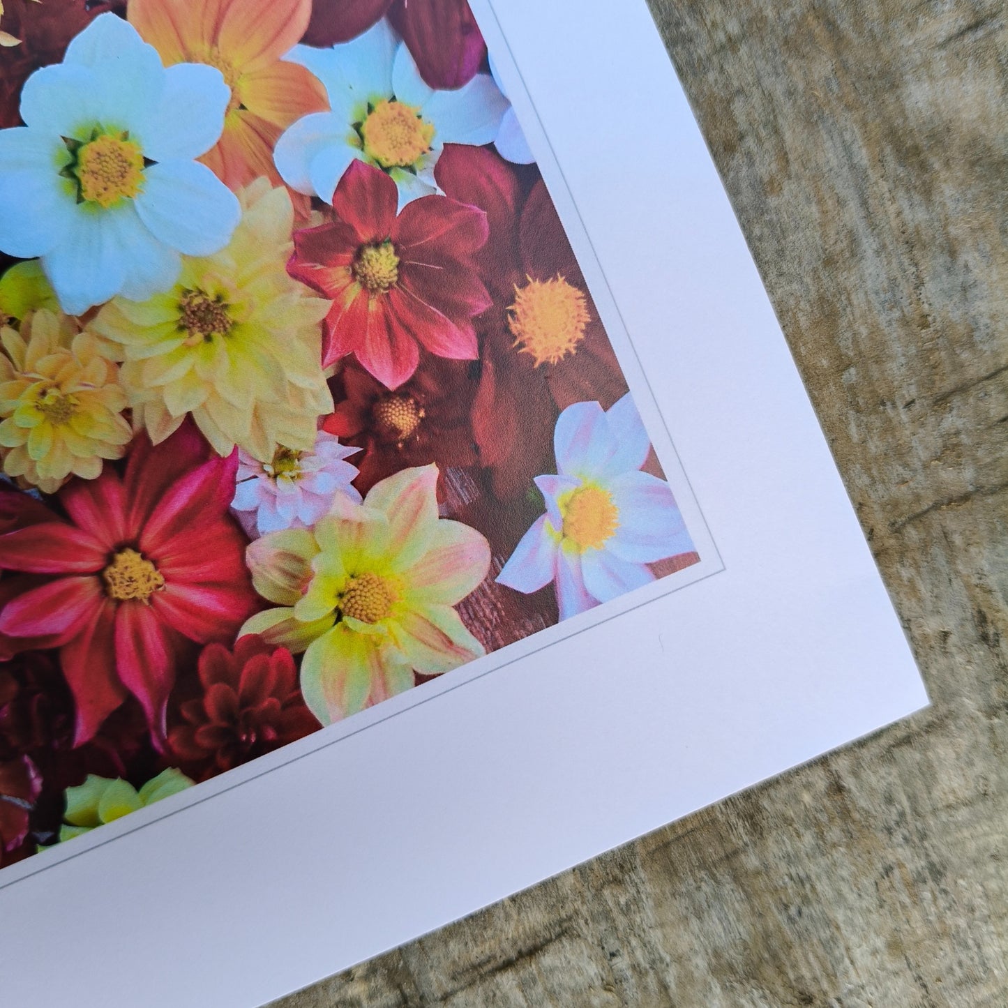 All The Single Dahlias flatlay photography by Gracie-Mae Photography.