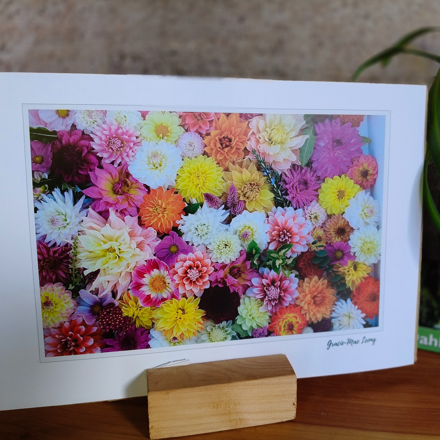 Mixed Dahlia Delight flatlay art print by Gracie-Mae – available in A4, A3, A2
