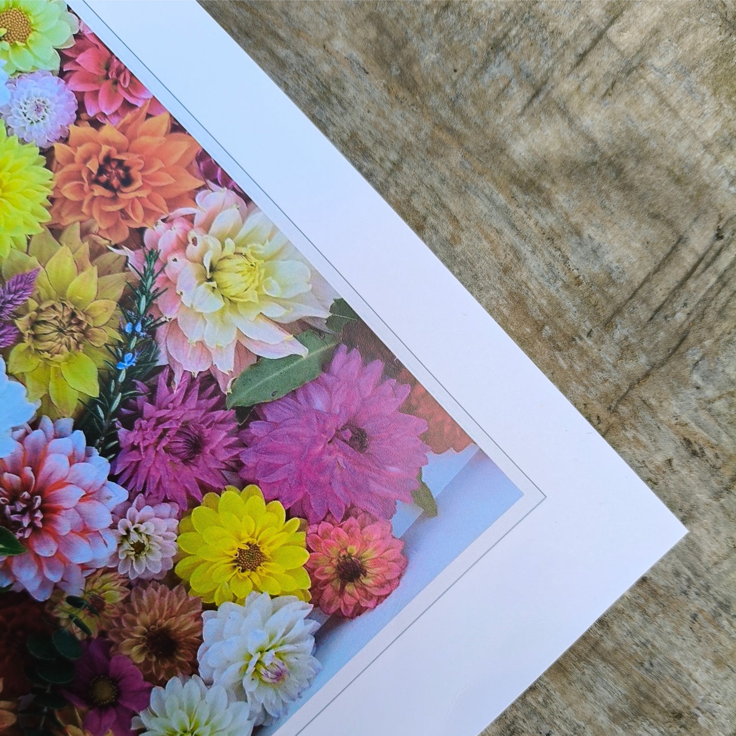 Mixed Dahlia Delights from Gracie-Mae Photography.