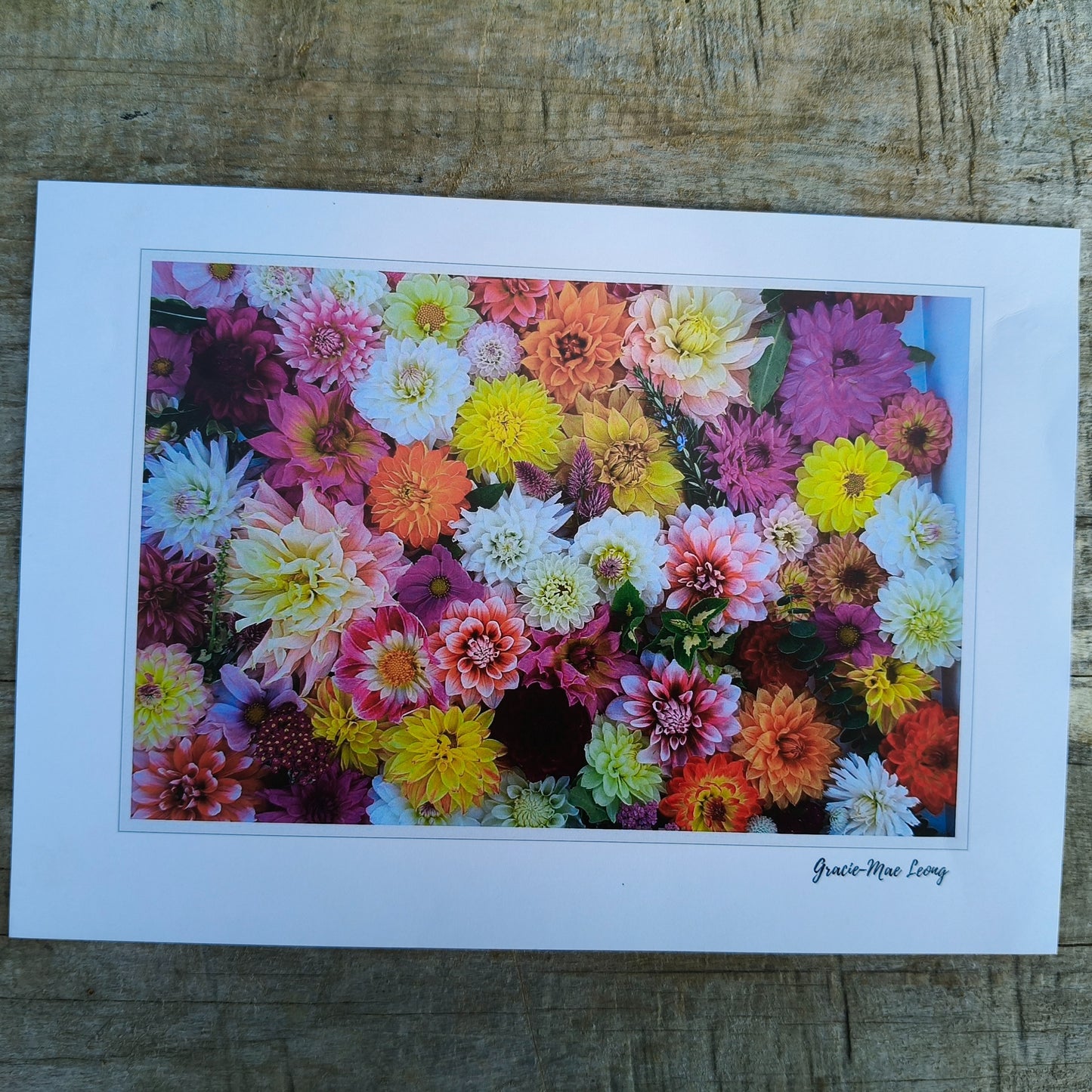 Mixed Dahlia Delights from Gracie-Mae Photography.