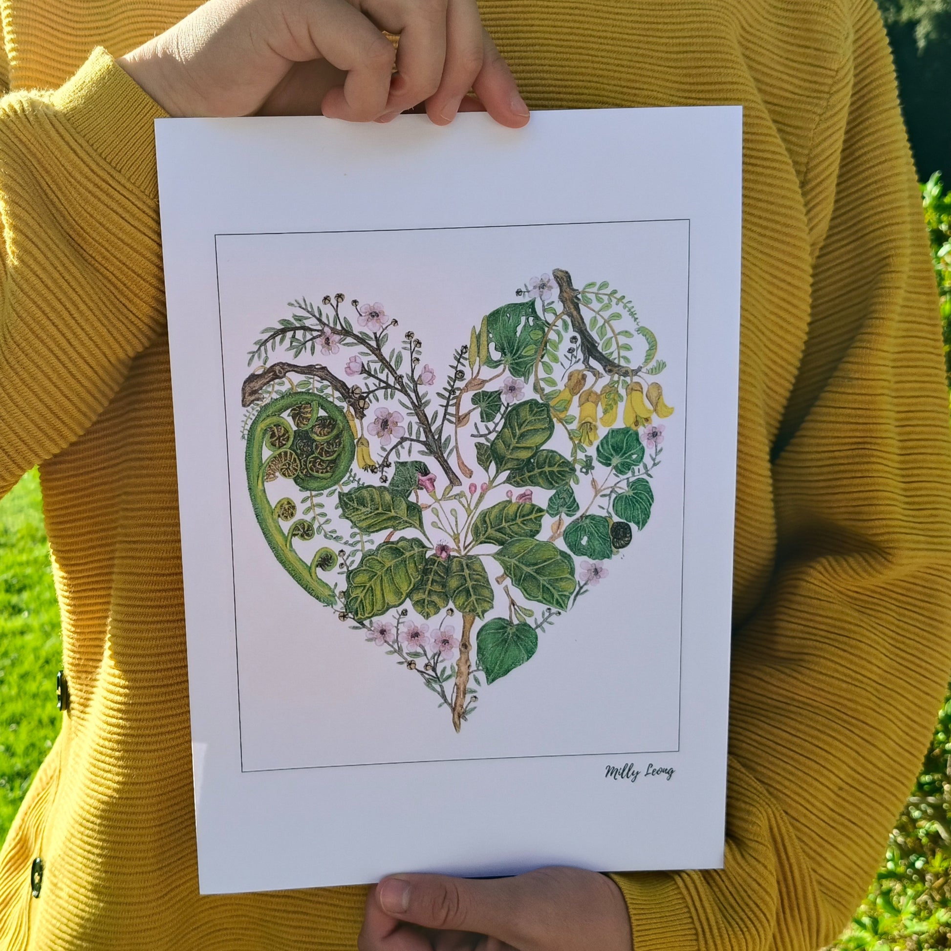 NZ native plant art print by Milly – hand-drawn in Aotearoa