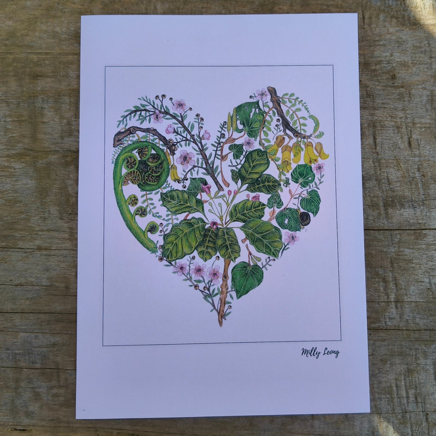 NZ native plant art print by Milly – hand-drawn in Aotearoa