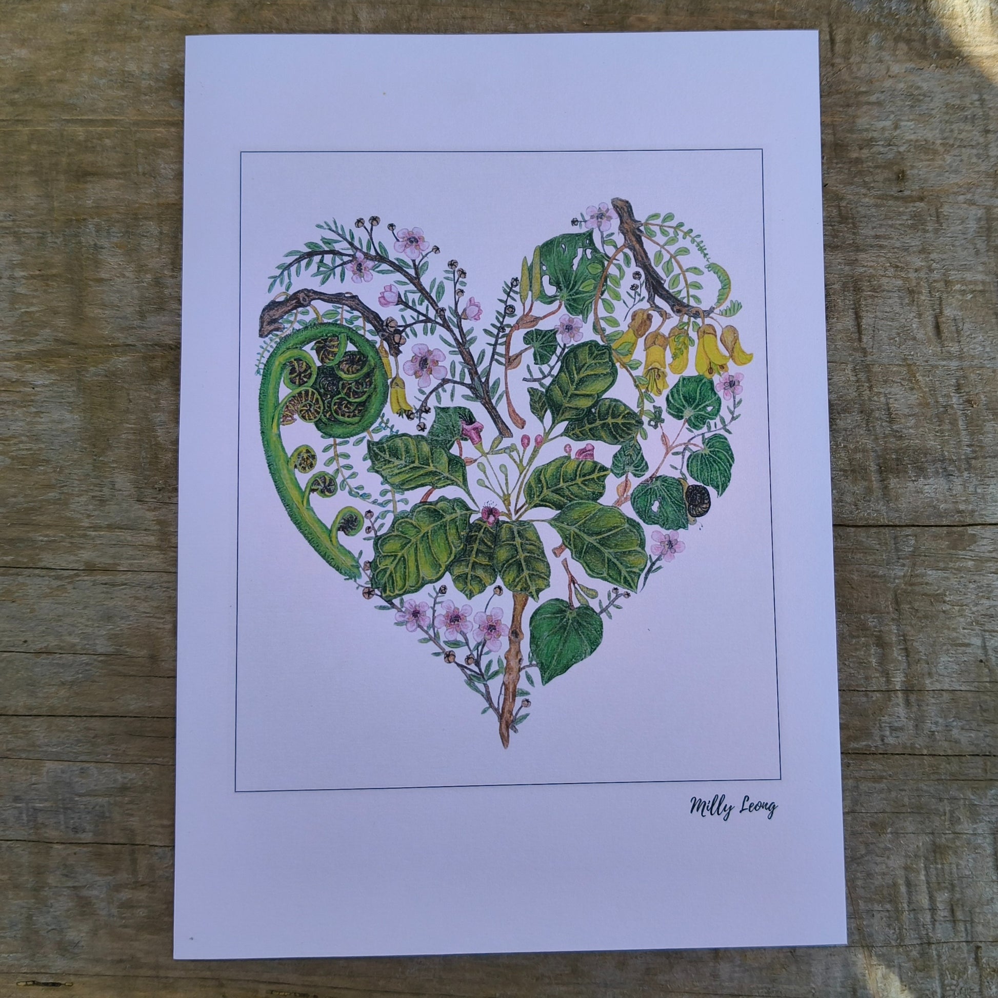 NZ native plant art print by Milly – hand-drawn in Aotearoa