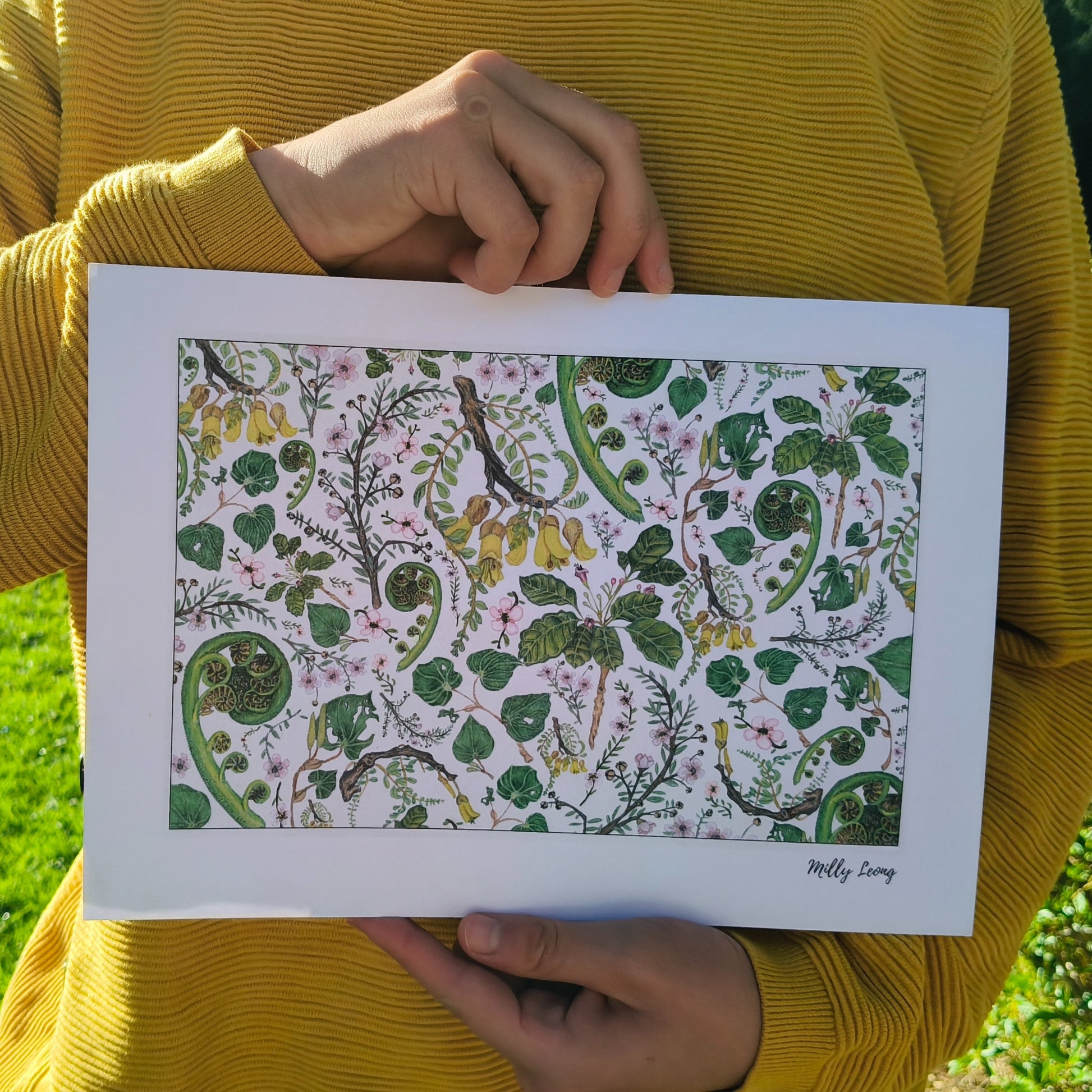 NZ native plant art print by Milly – hand-drawn in Aotearoa