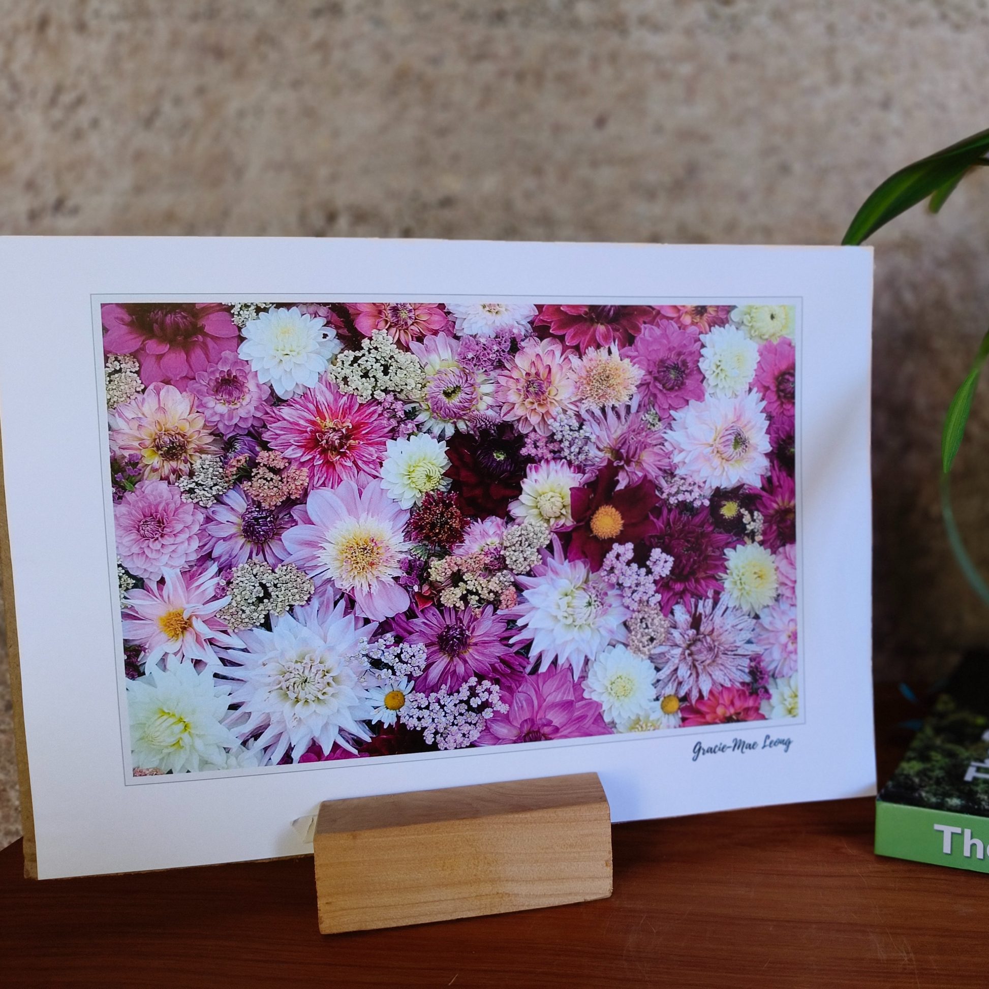 Purple Delight dahlia flatlay art print by Gracie-Mae – available in A4, A3, A2