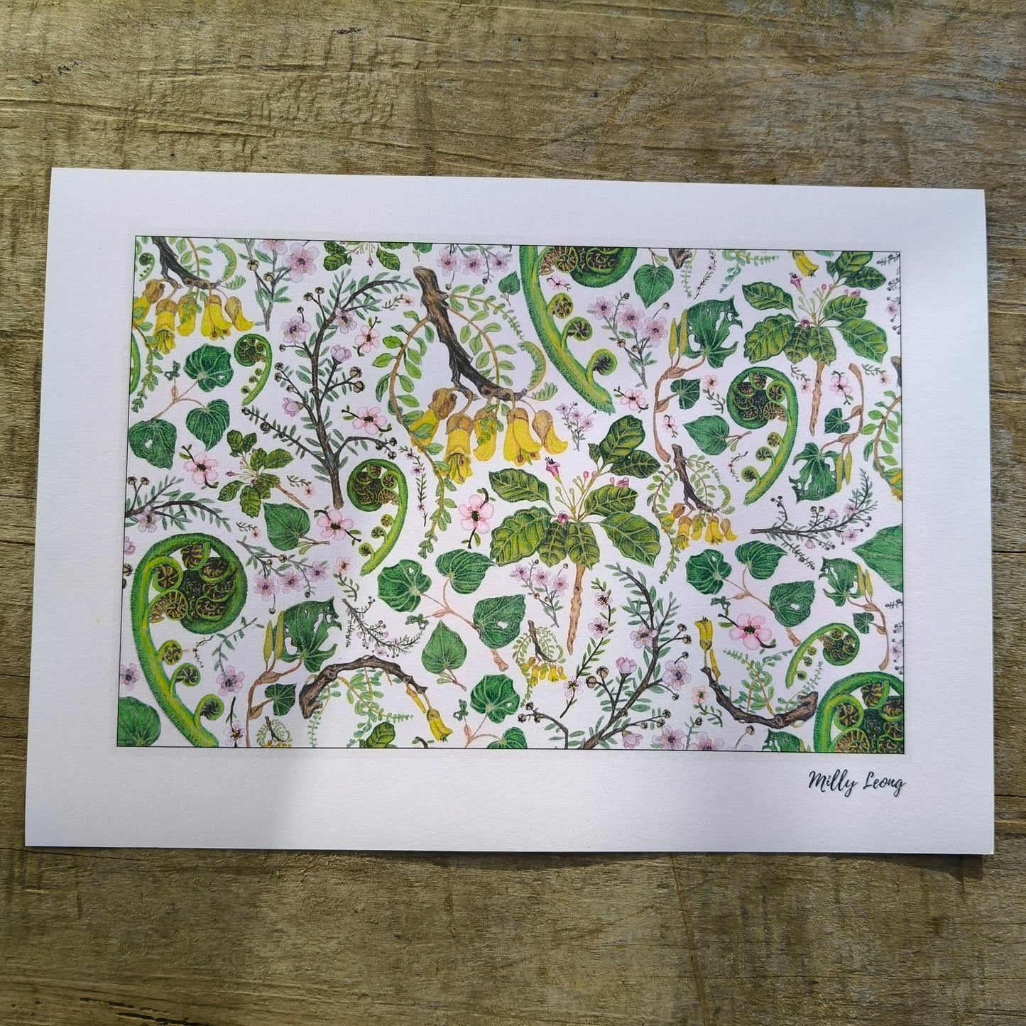 NZ native plant art print by Milly – hand-drawn in Aotearoa
