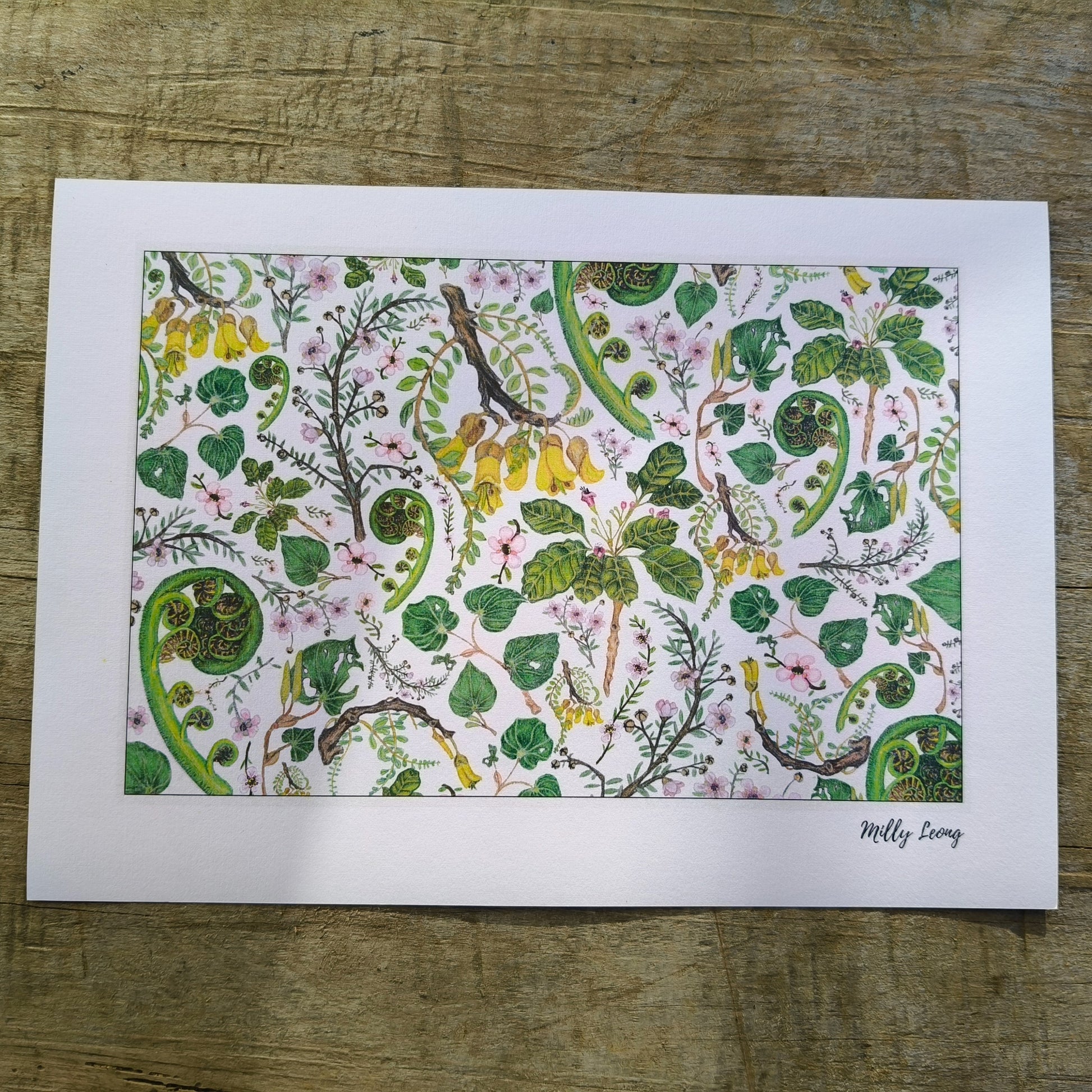 NZ native plant art print by Milly – hand-drawn in Aotearoa
