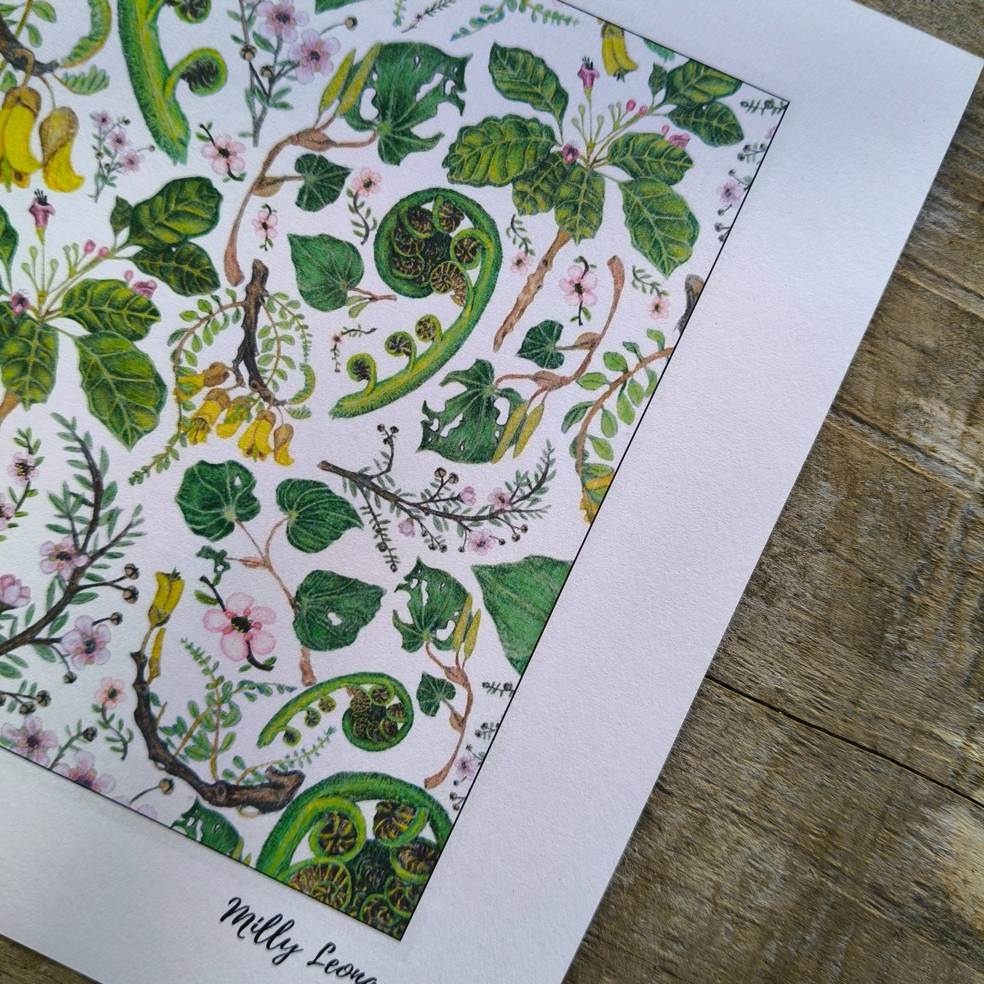 NZ native plant art print by Milly – hand-drawn in Aotearoa