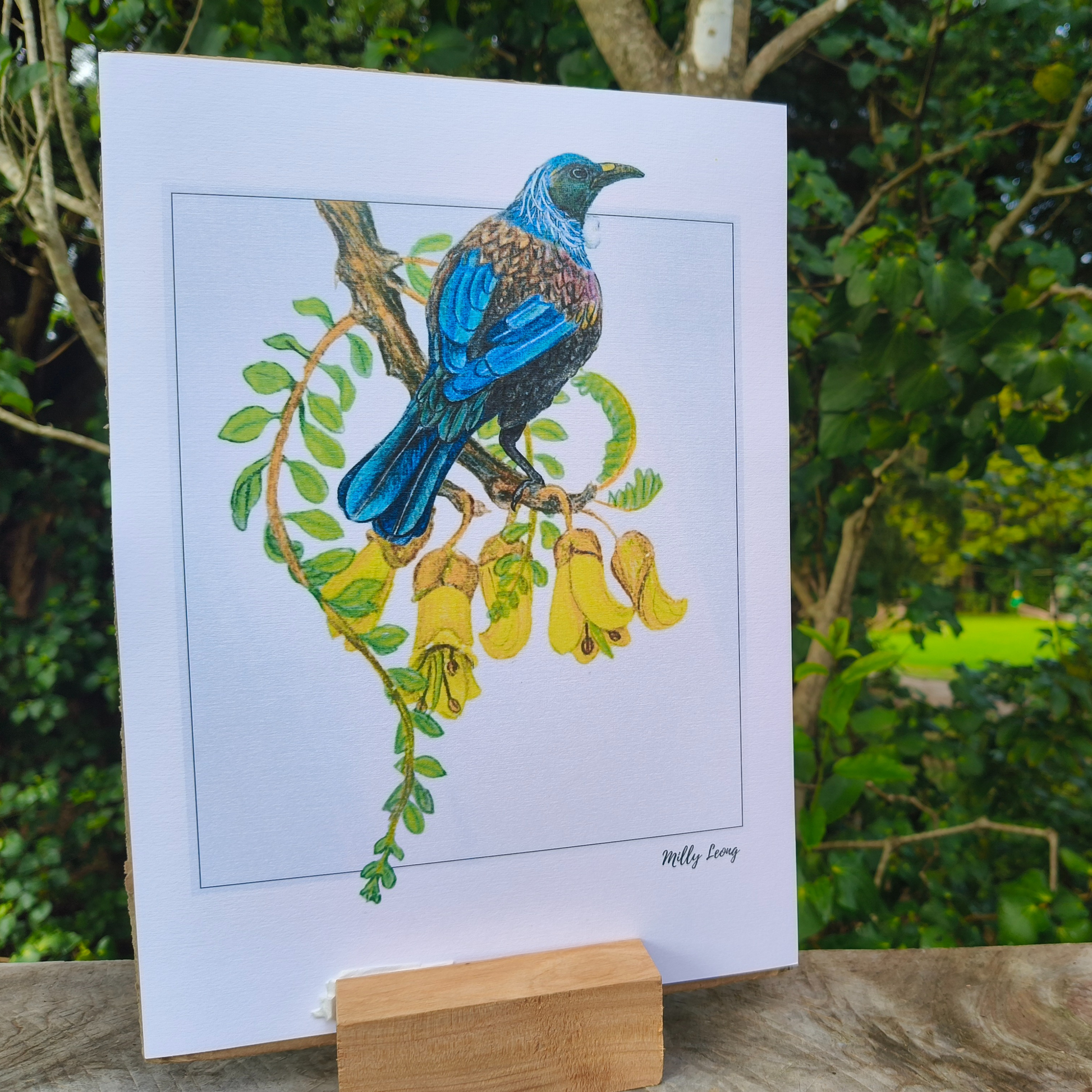 Colorful bird illustration on a white background with greenery in the background