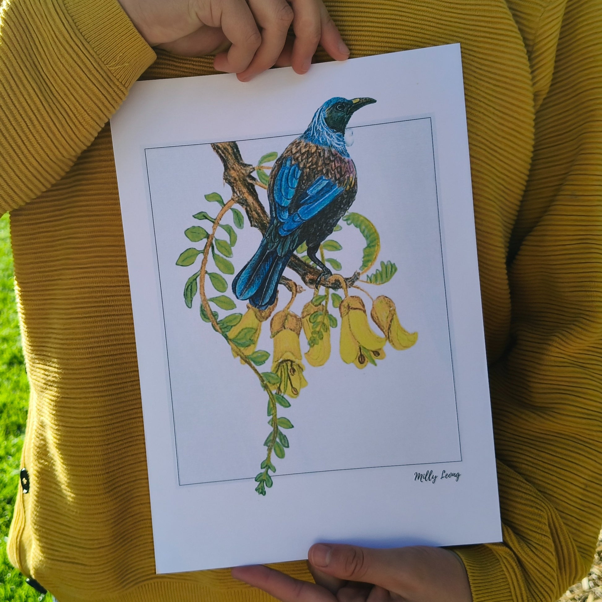 NZ native plant art print by Milly – hand-drawn in Aotearoa