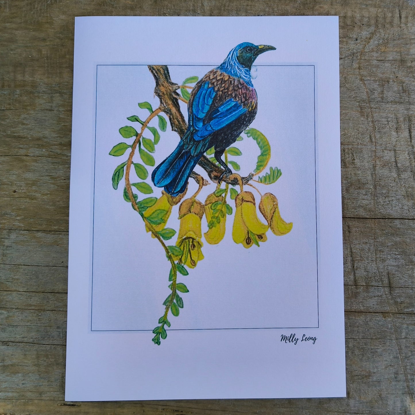 NZ native plant art print by Milly – hand-drawn in Aotearoa