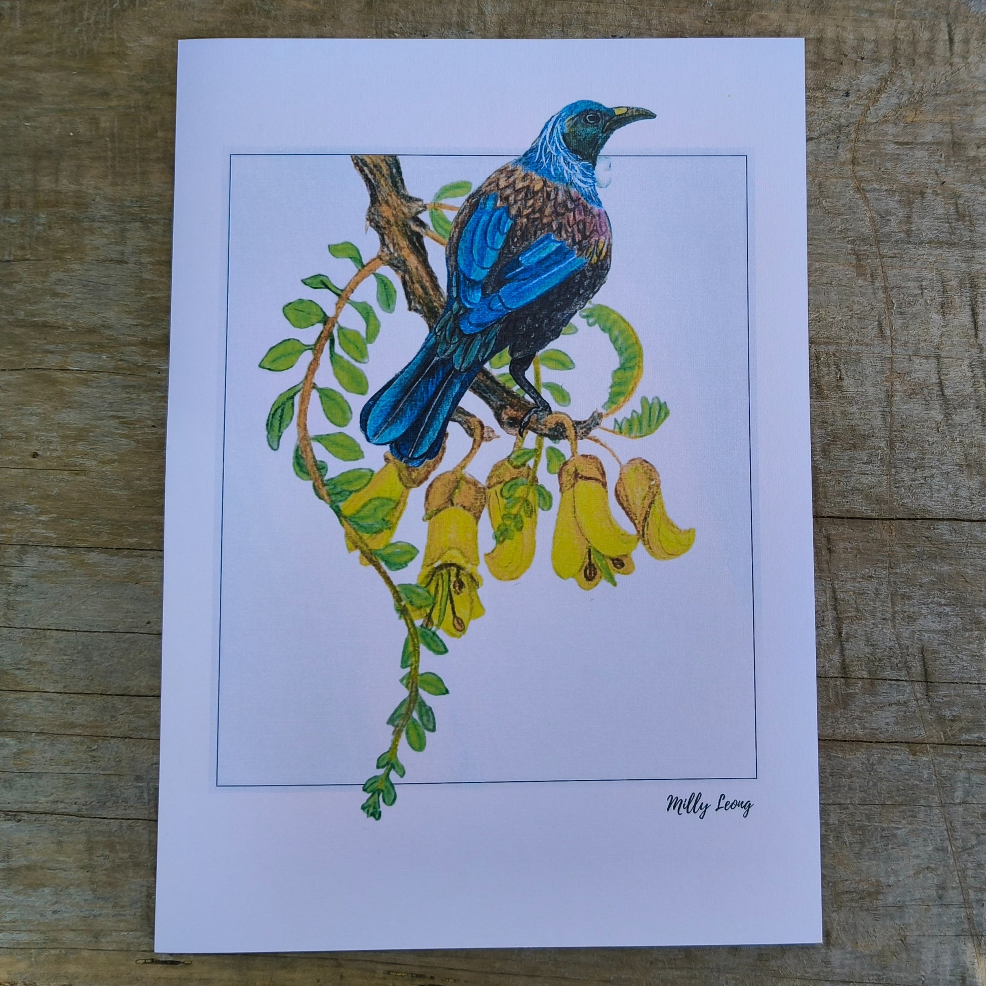 NZ native plant art print by Milly – hand-drawn in Aotearoa
