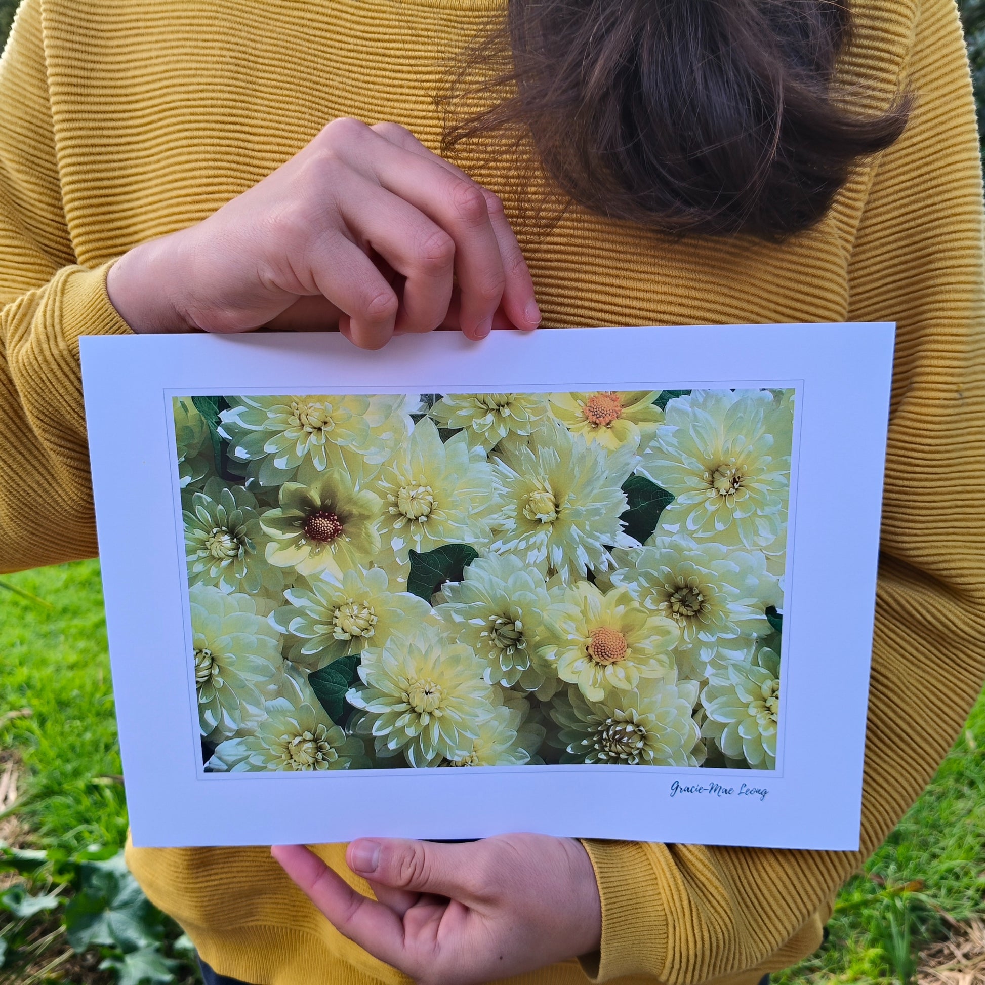 Sunny Yellow Dahlia flatlay art print by Gracie-Mae – available in A4, A3, A2