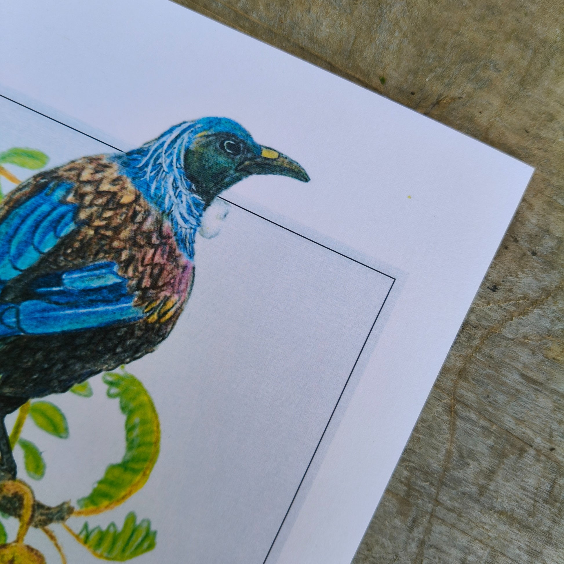 NZ native plant art print by Milly – hand-drawn in Aotearoa