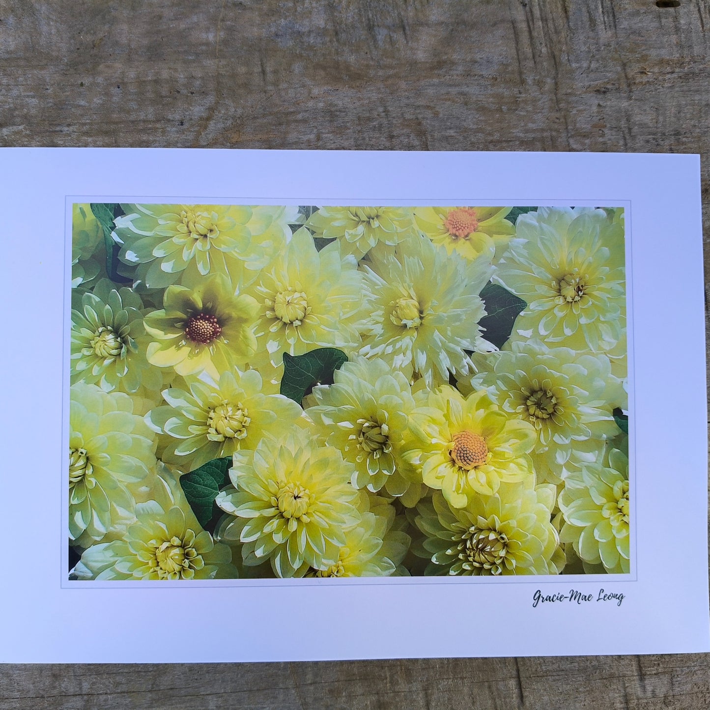 Sunny Yellow Dahlia flatlay art print by Gracie-Mae – available in A4, A3, A2