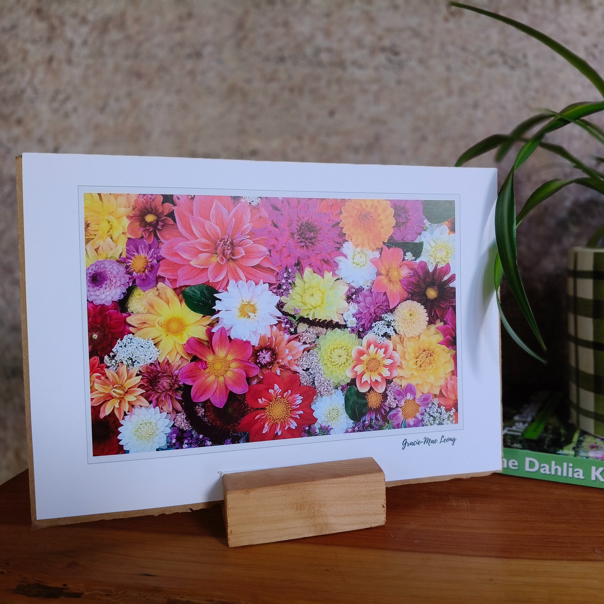 Dazzling Dahlia flatlay art print by Gracie-Mae – available in A4, A3, A2