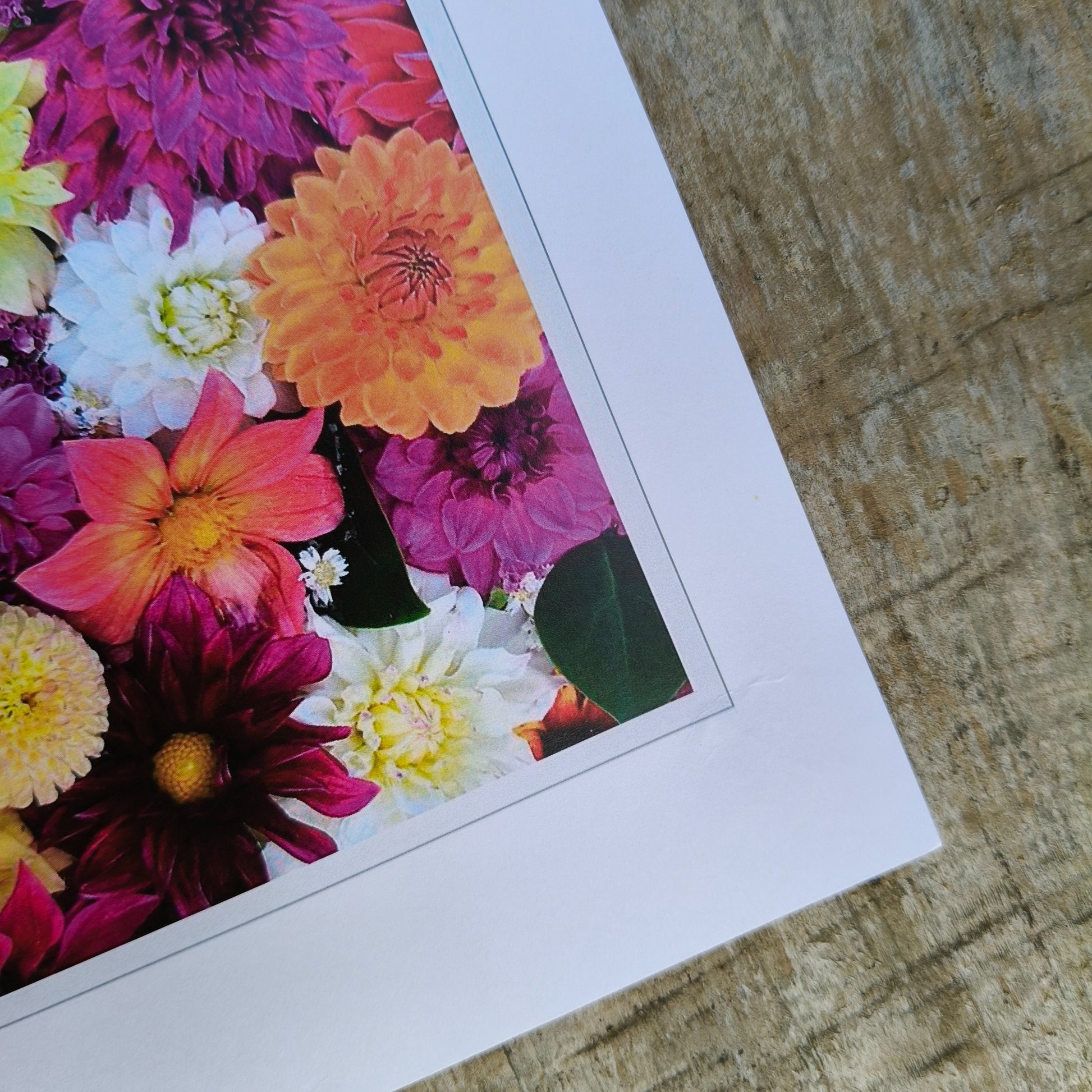 Dazzling Dahlia flatlay art print by Gracie-Mae – available in A4, A3, A2