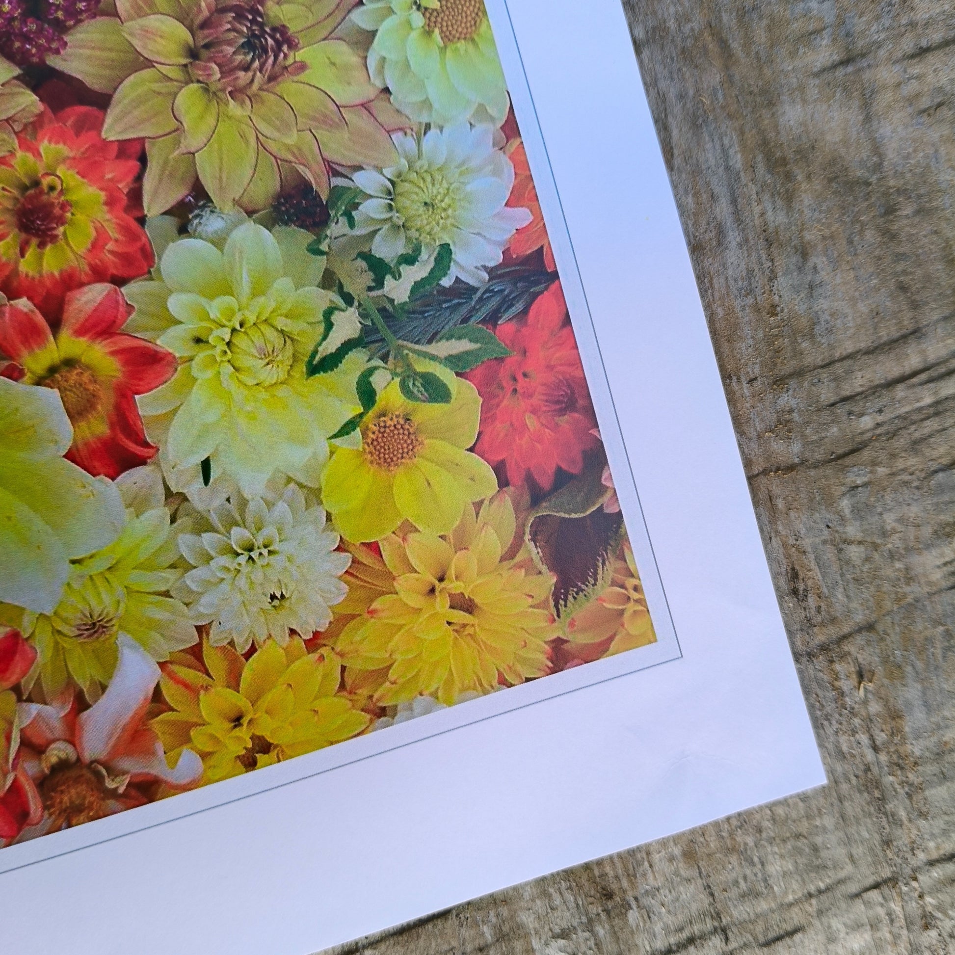 Sunny Dahlia flatlay art print by Gracie-Mae – available in A4, A3, A2
