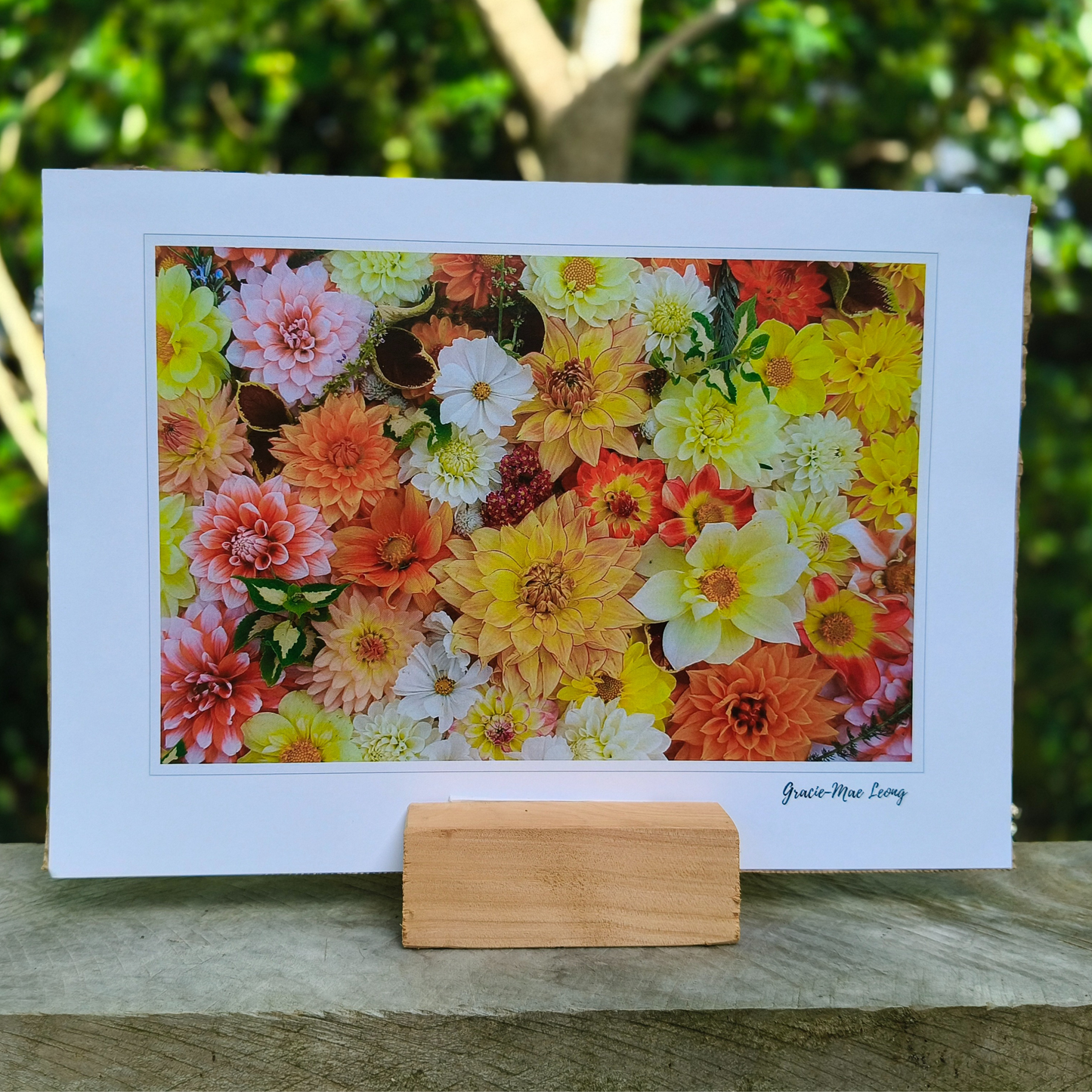 Sunny Dahlia flatlay art print by Gracie-Mae – available in A4, A3, A2