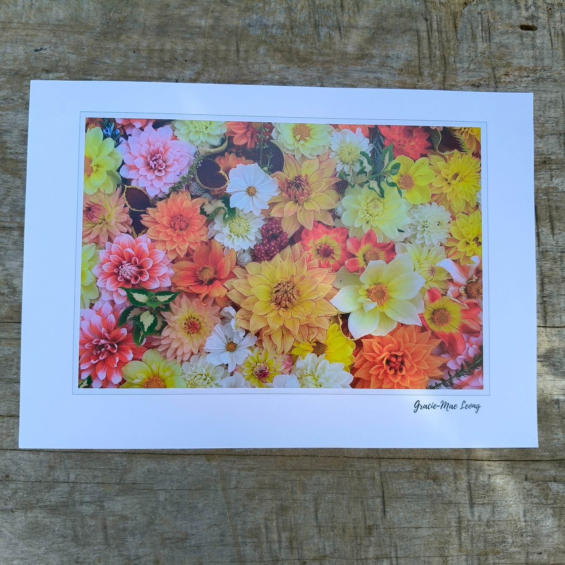 Sunny Dahlia flatlay art print by Gracie-Mae – available in A4, A3, A2