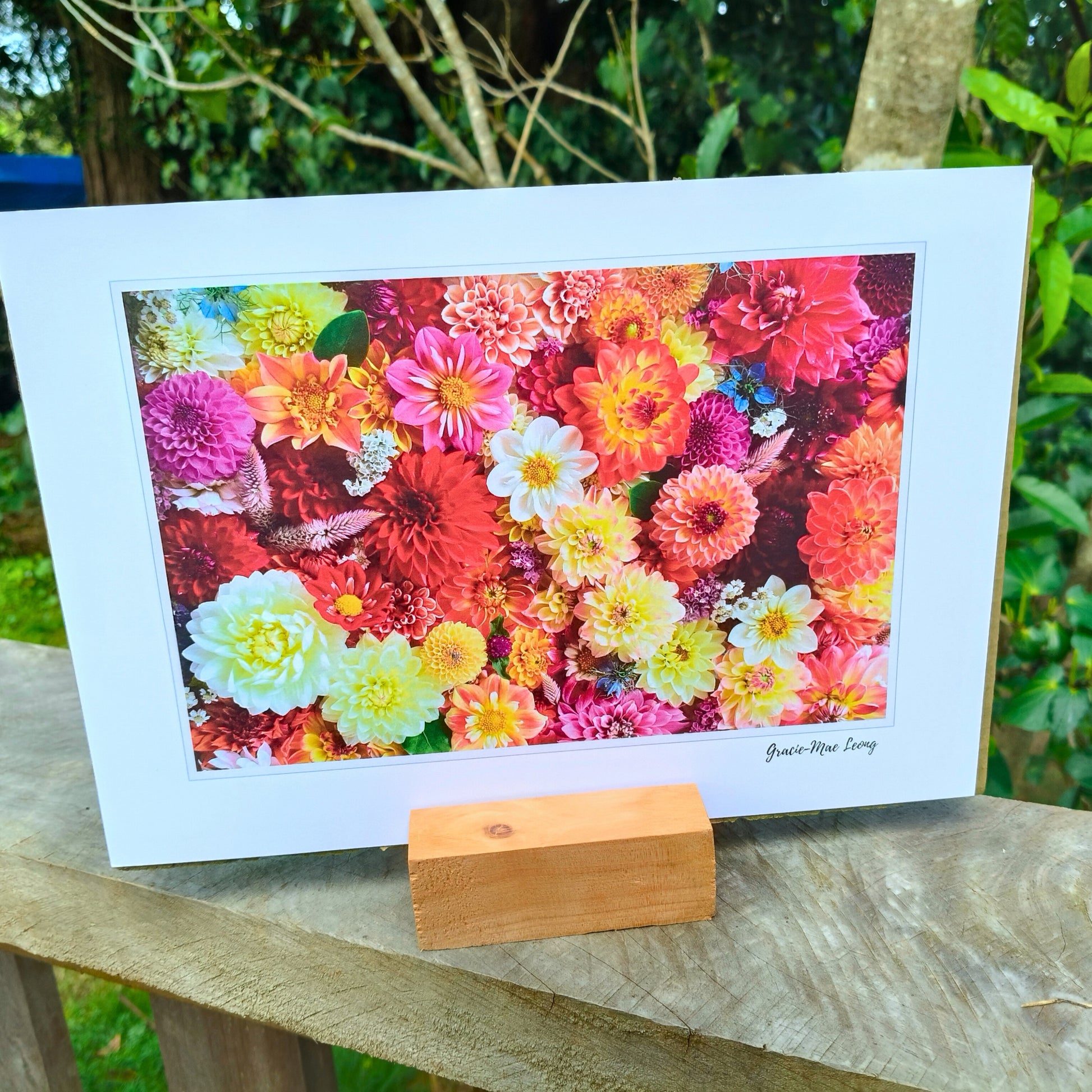 Stunning Dahlia flatlay photo taken by Gracie-Mae Photography.