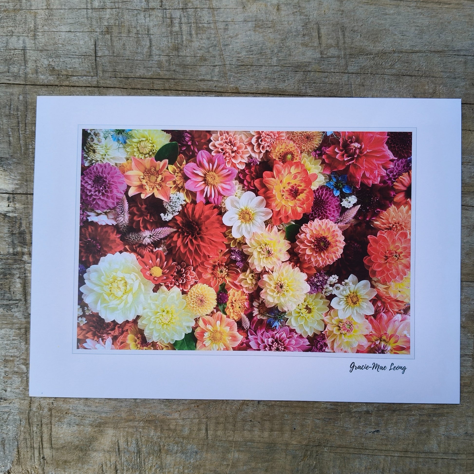Stunning Dahlia flatlay photo taken by Gracie-Mae Photography.