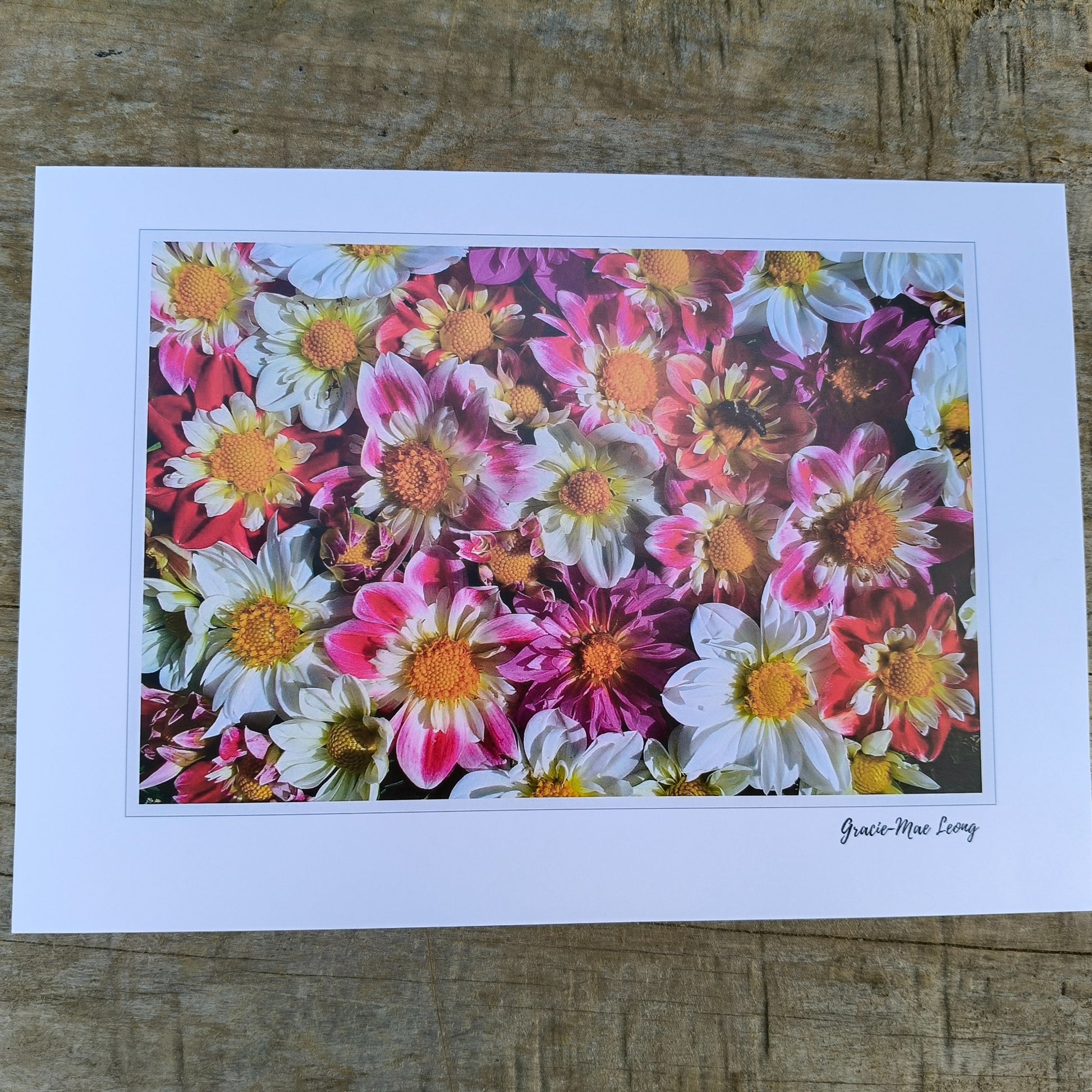 Collerette Dahlia flatlay photo by Gracie-Mae Photography.