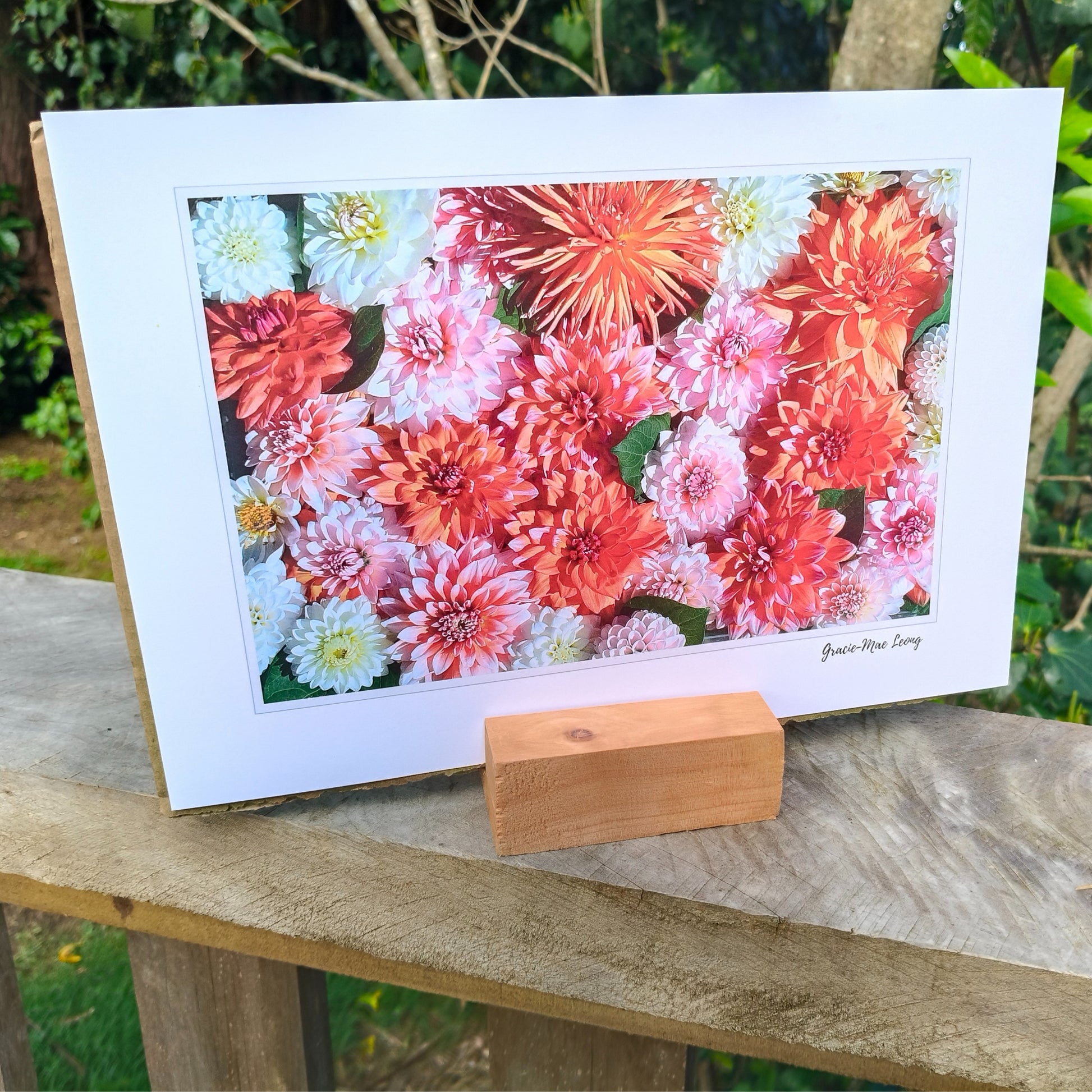 Orange Delight Dahlia photo by Gracie-Mae Photography.