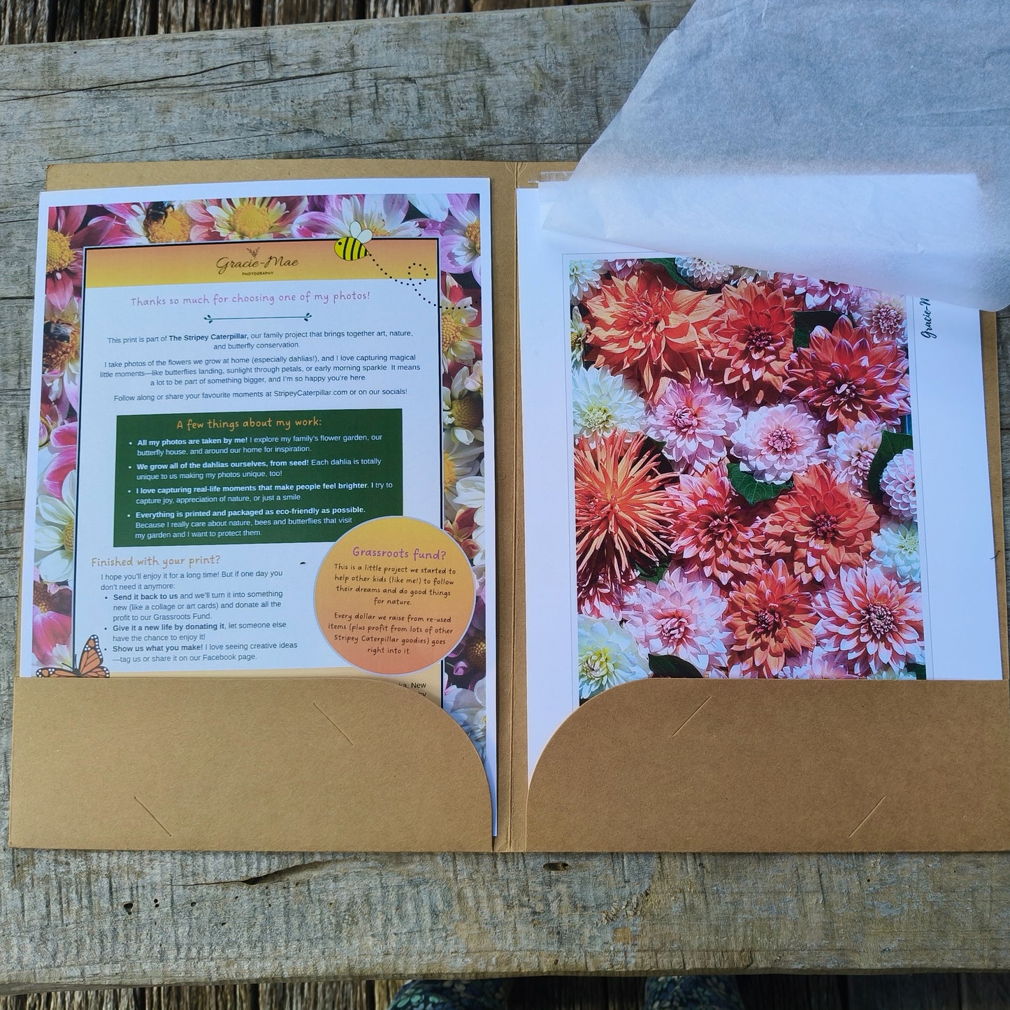 Orange Delight Dahlia photo by Gracie-Mae Photography.