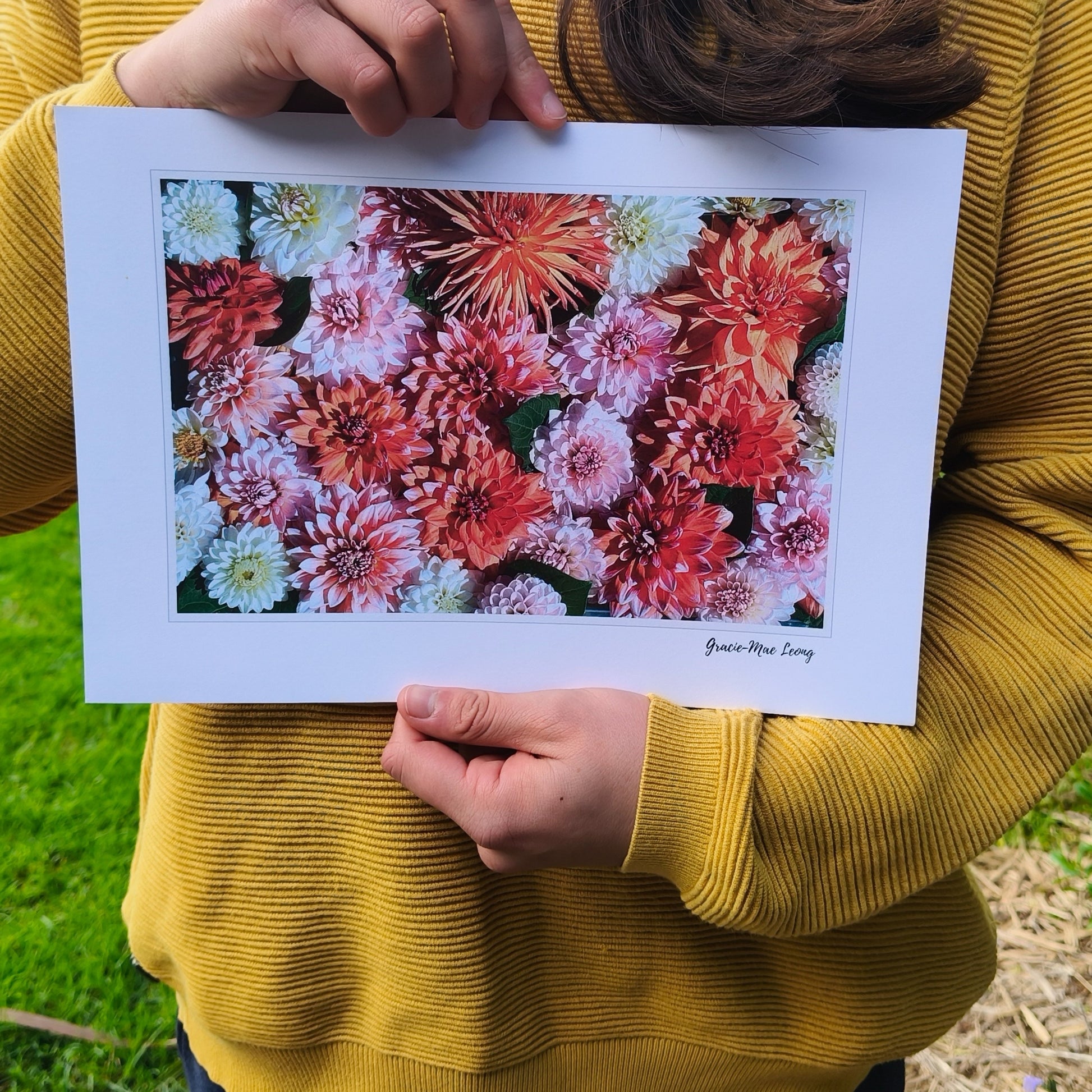 Orange Delight Dahlia photo by Gracie-Mae Photography.
