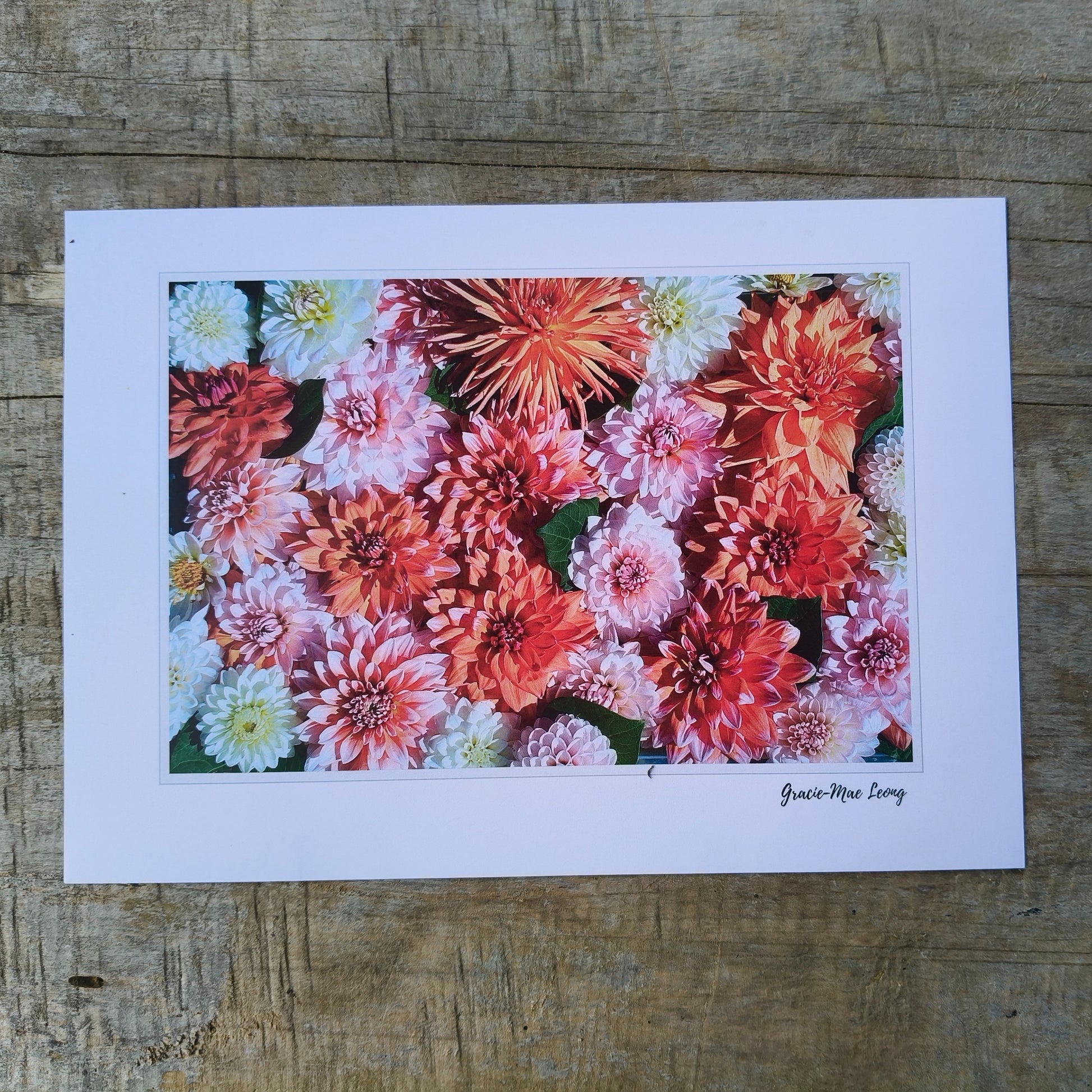 Orange Delight Dahlia photo by Gracie-Mae Photography.