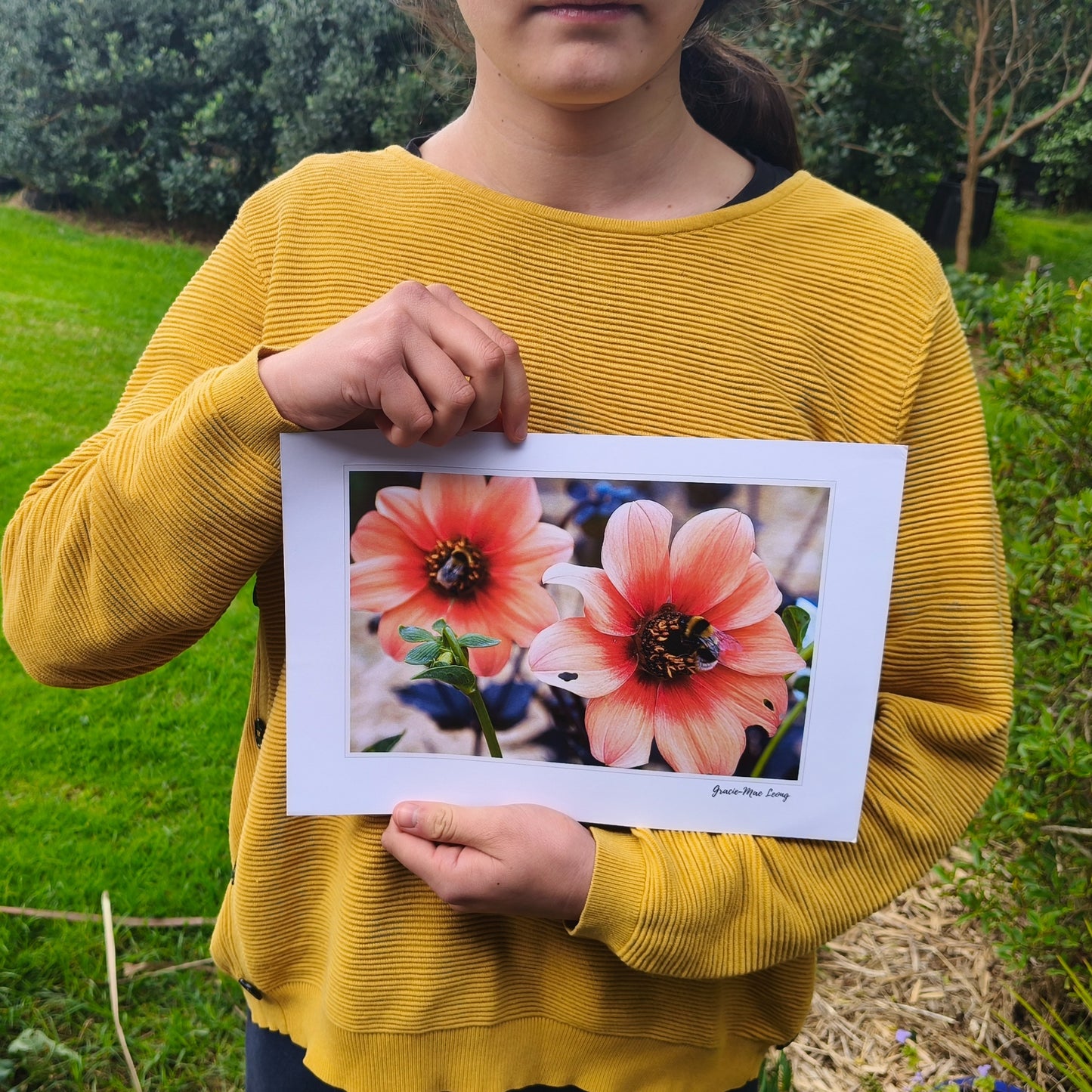 Orange open centered dahlias with bumbebees art print by Gracie-Mae – available in A4, A3, A2