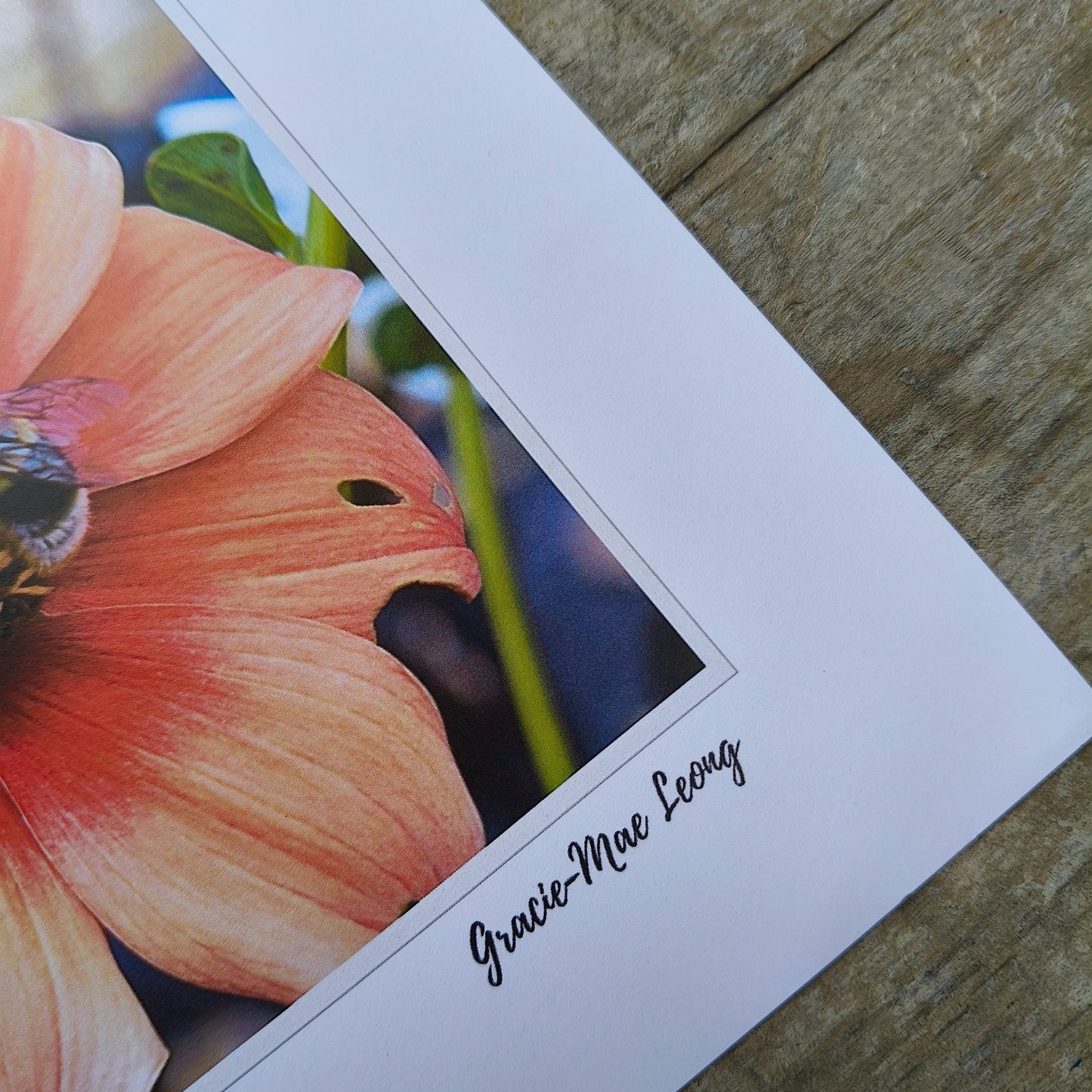 Orange open centered dahlias with bumbebees art print by Gracie-Mae – available in A4, A3, A2