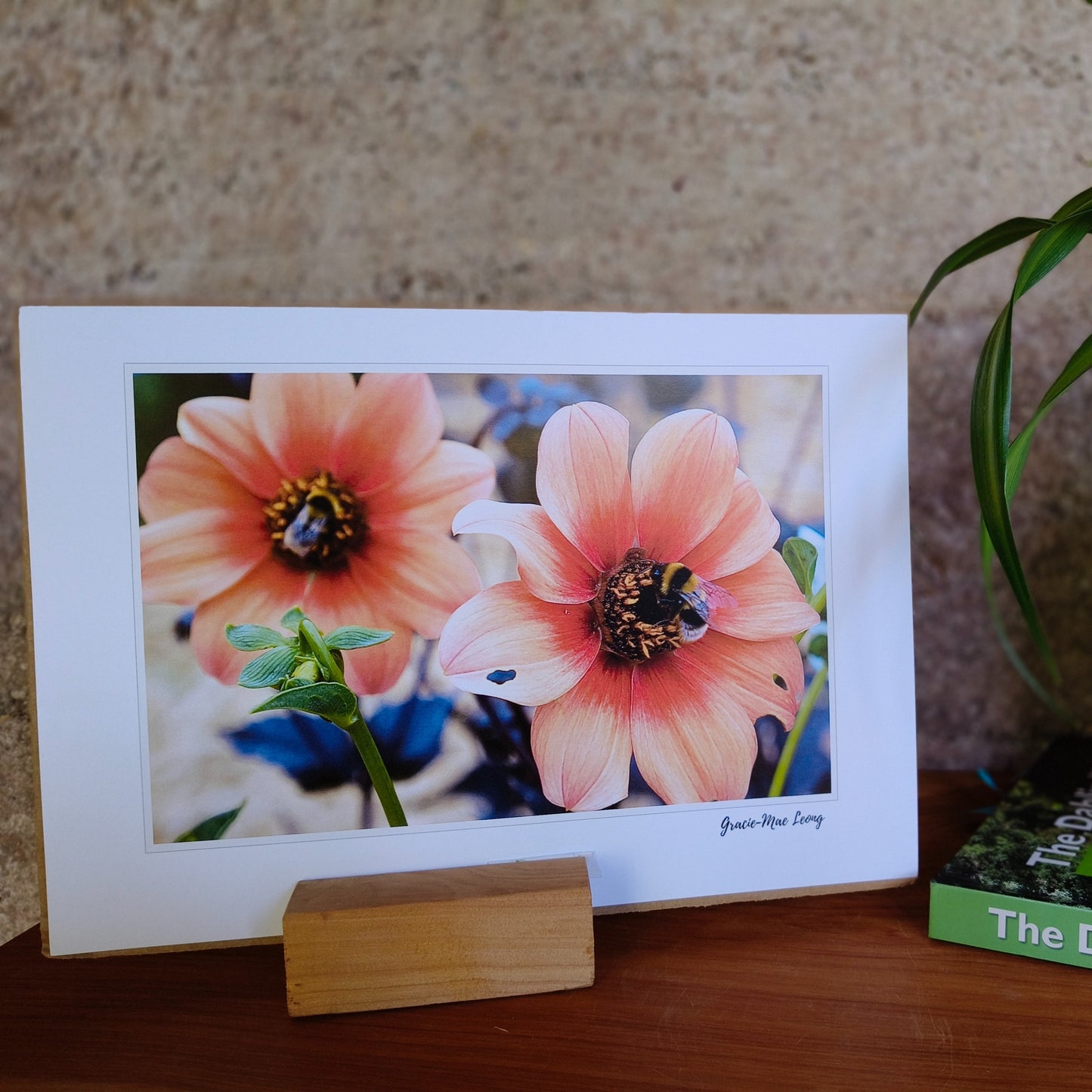 Orange open centered dahlias with bumbebees art print by Gracie-Mae – available in A4, A3, A2