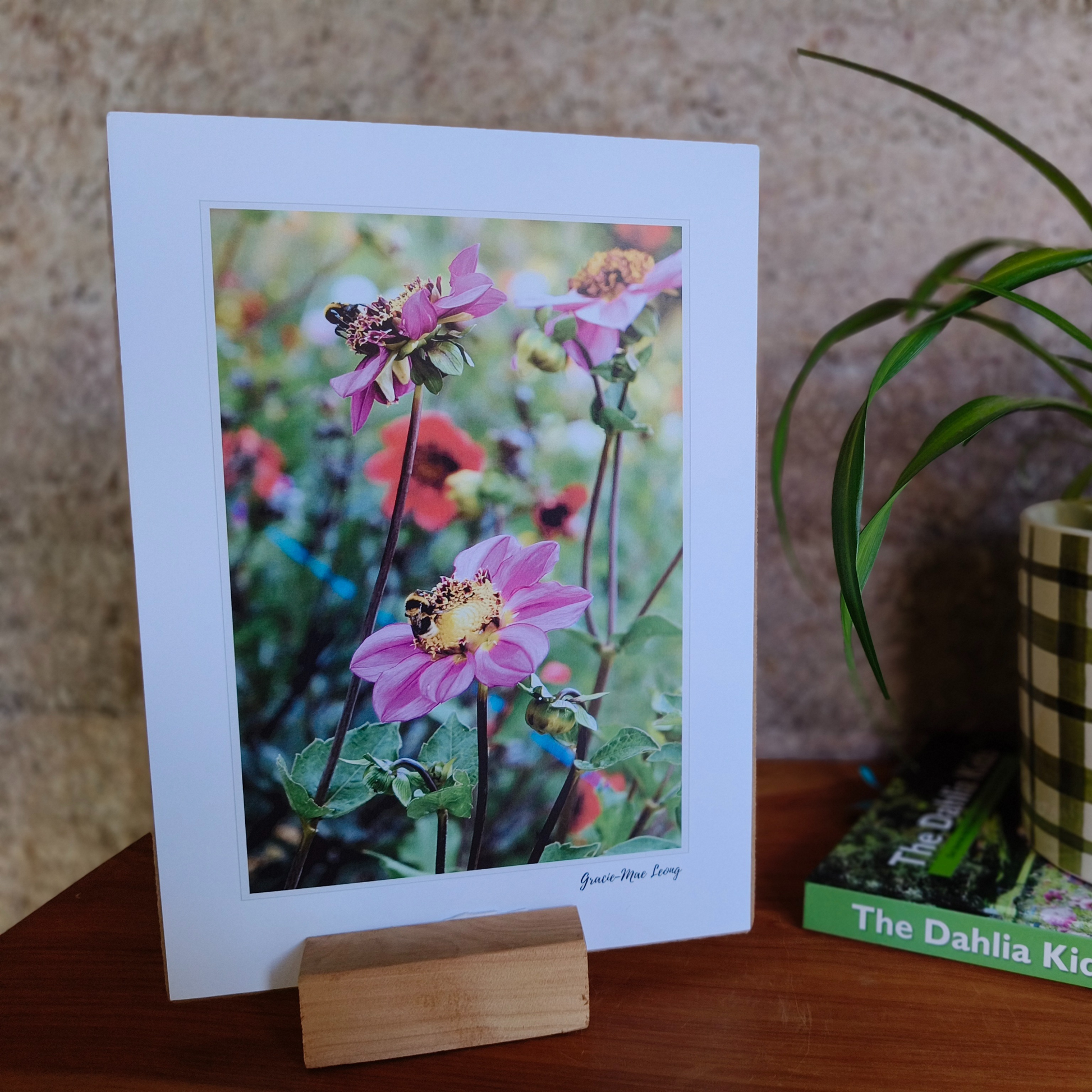Purple anemone dahlias with bumblebee art print by Gracie-Mae – available in A4, A3, A2