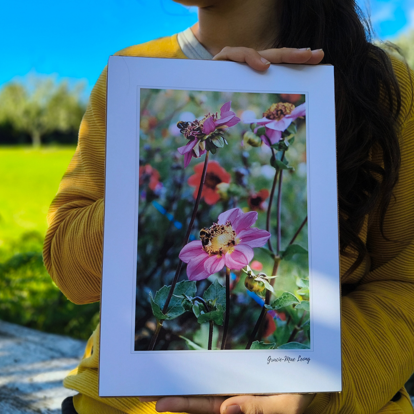 Purple anenome dahlias with bumbebees art print by Gracie-Mae – available in A4, A3, A2
