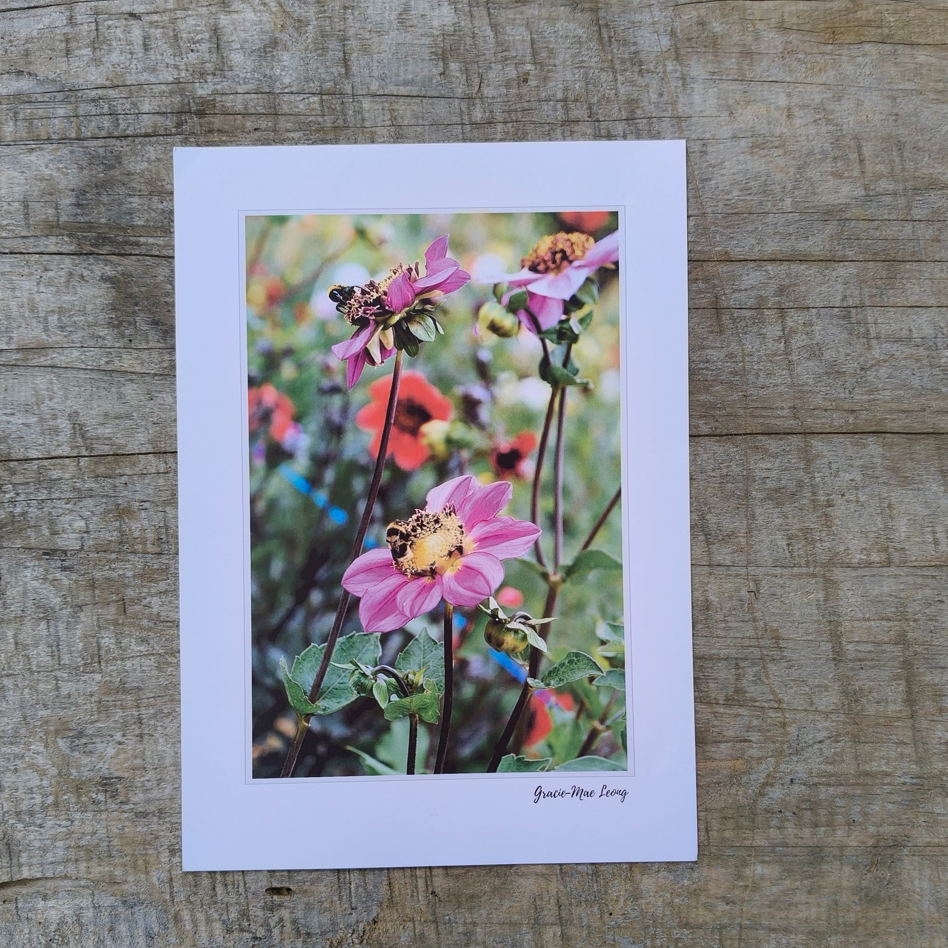 Purple anenome dahlias with bumbebees art print by Gracie-Mae – available in A4, A3, A2