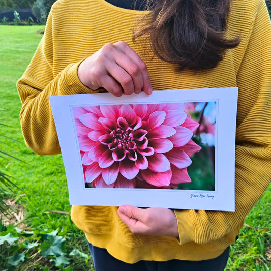 Pink double dahlia close-up art print by Gracie-Mae – available in A4, A3, A2
