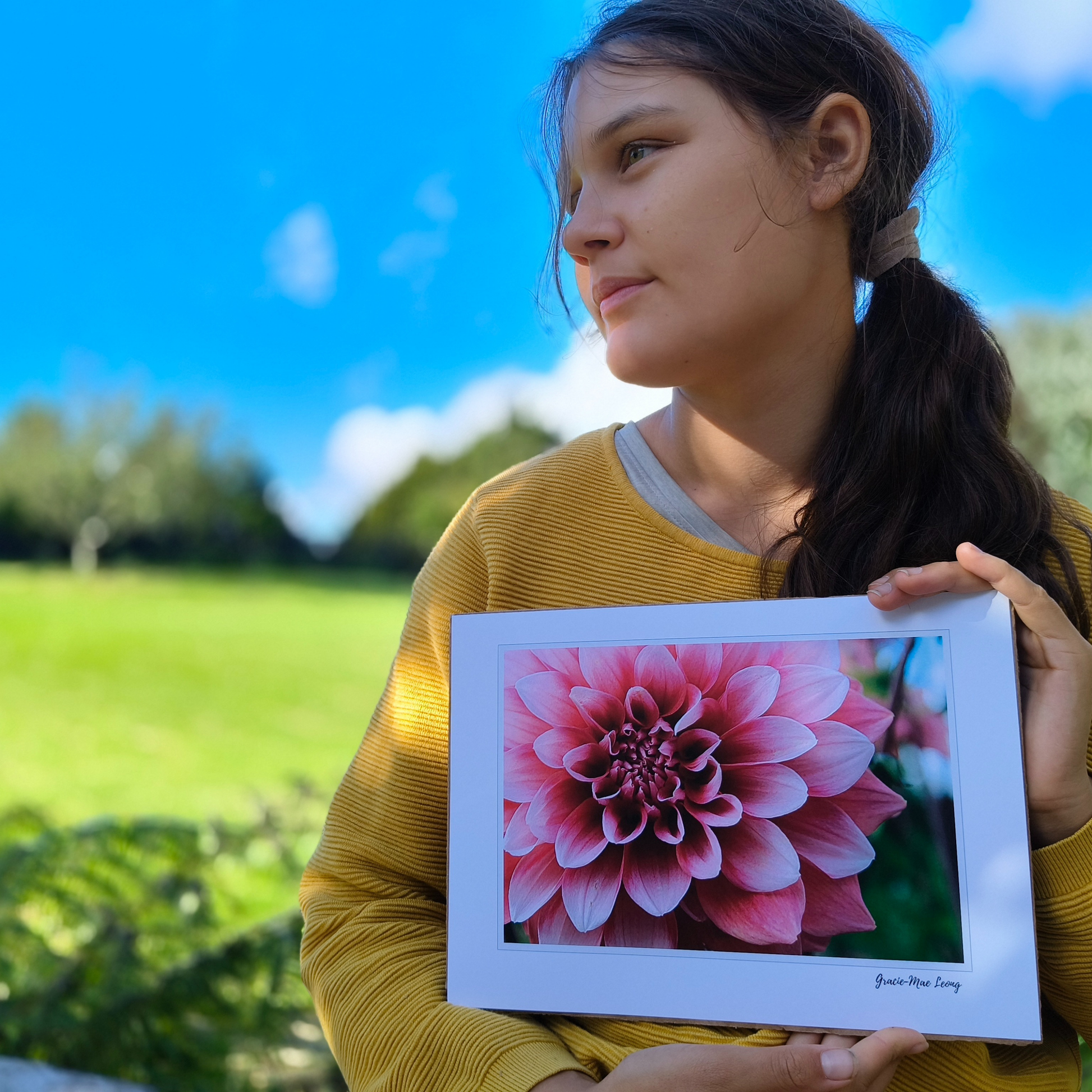 Pink double dahlia close-up art print by Gracie-Mae – available in A4, A3, A2