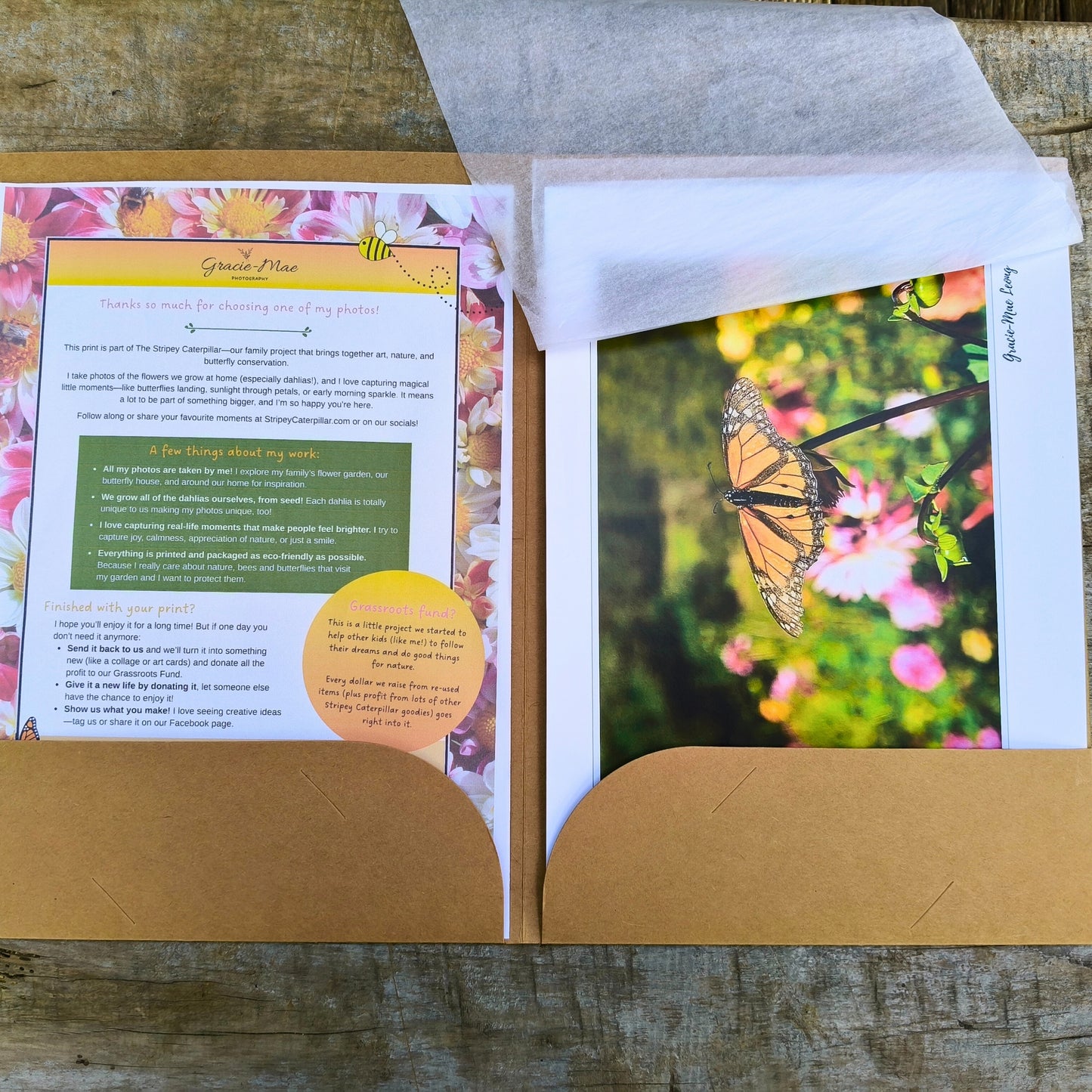 Monarch butterfly on a dahlia bud art print by Gracie-Mae – available in A4, A3, A2