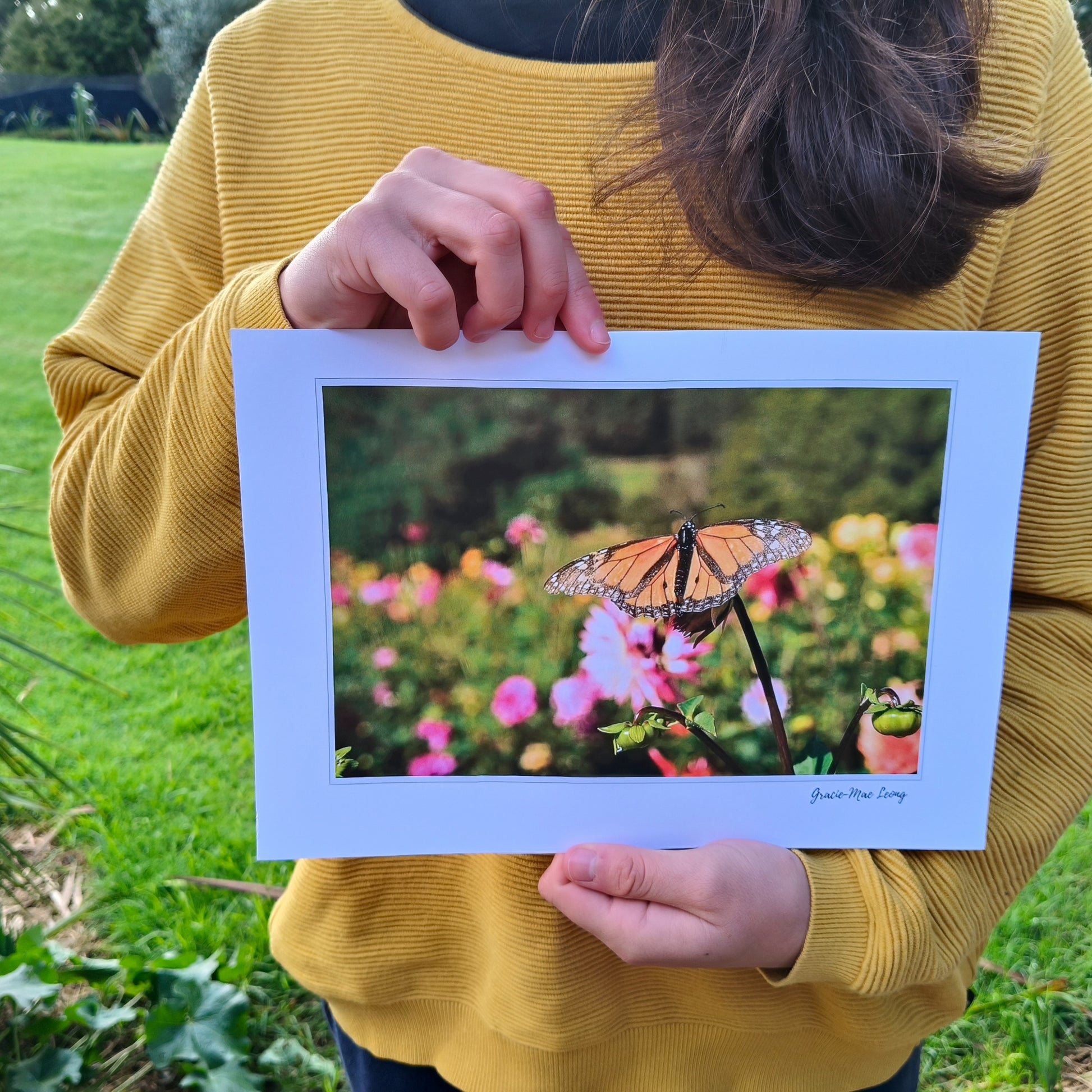 Monarch butterfly on a dahlia bud art print by Gracie-Mae – available in A4, A3, A2