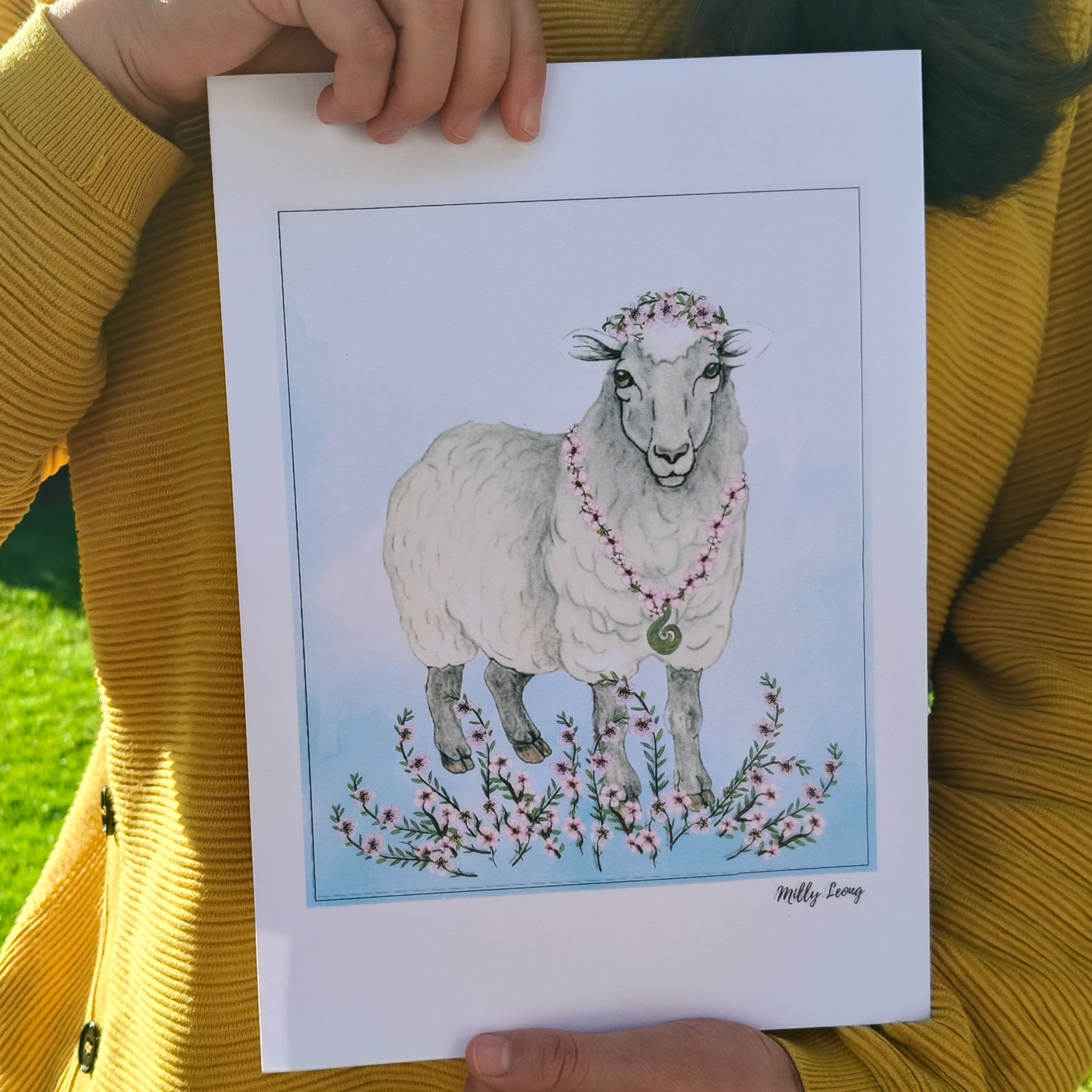 Hand-drawn image of a New Zealand sheep by Milly available in A4, A3 and A2.