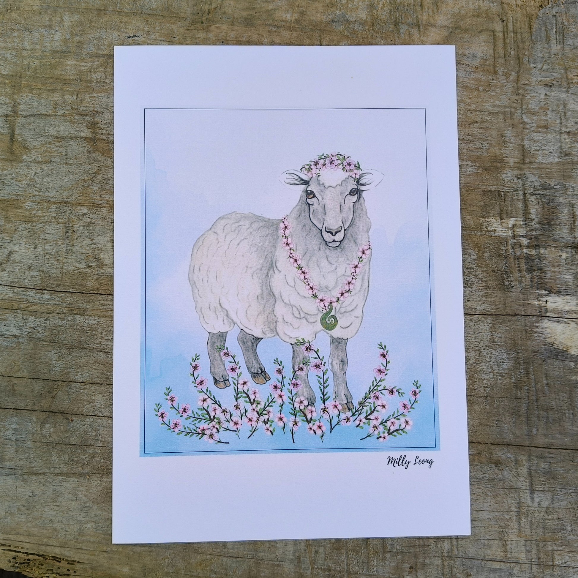 Hand-drawn image of a New Zealand sheep by Milly available in A4, A3 and A2.