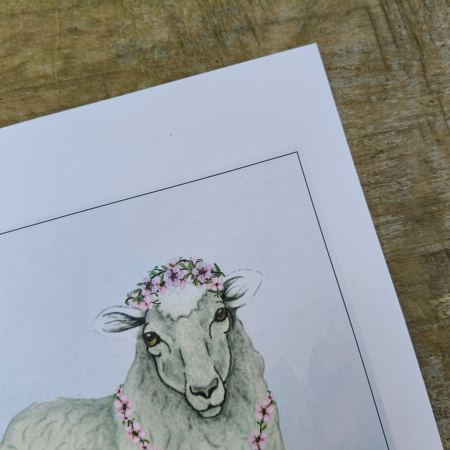 Hand-drawn image of a New Zealand sheep by Milly available in A4, A3 and A2.