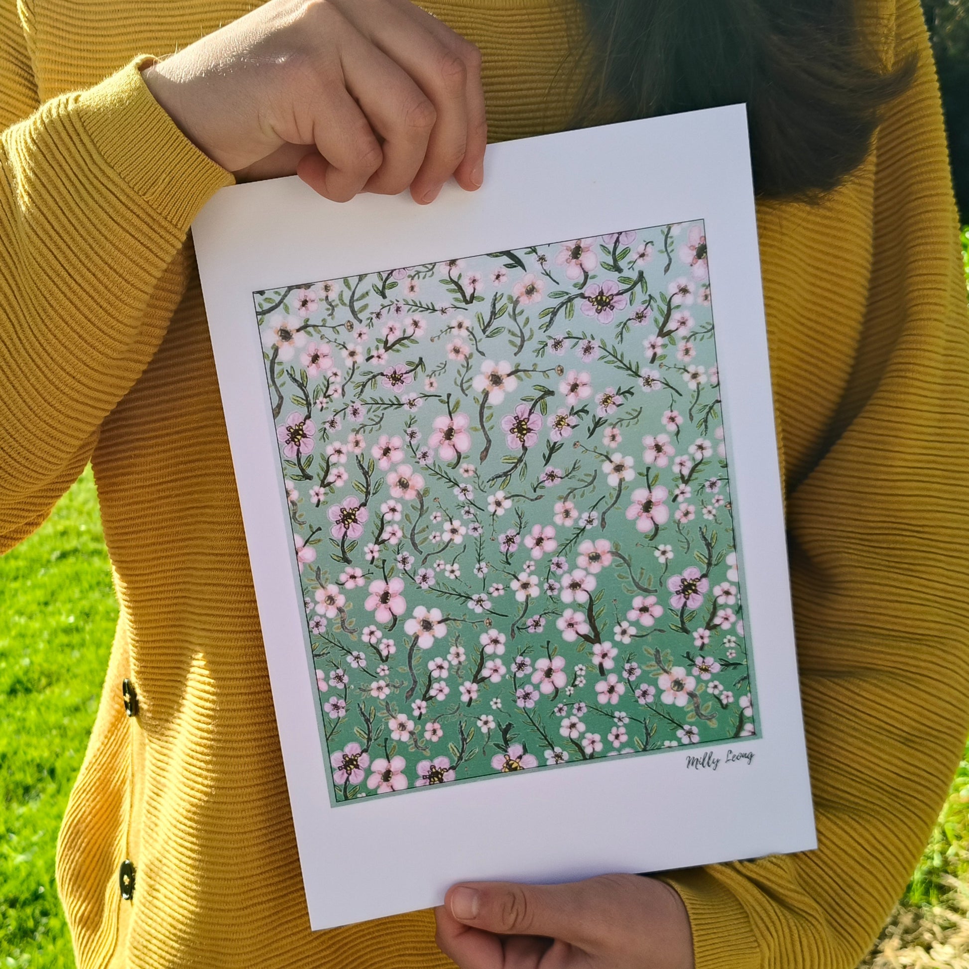 Hand-drawn image of New Zealand manuka flower by Milly avaiable in A4, A3, A2.