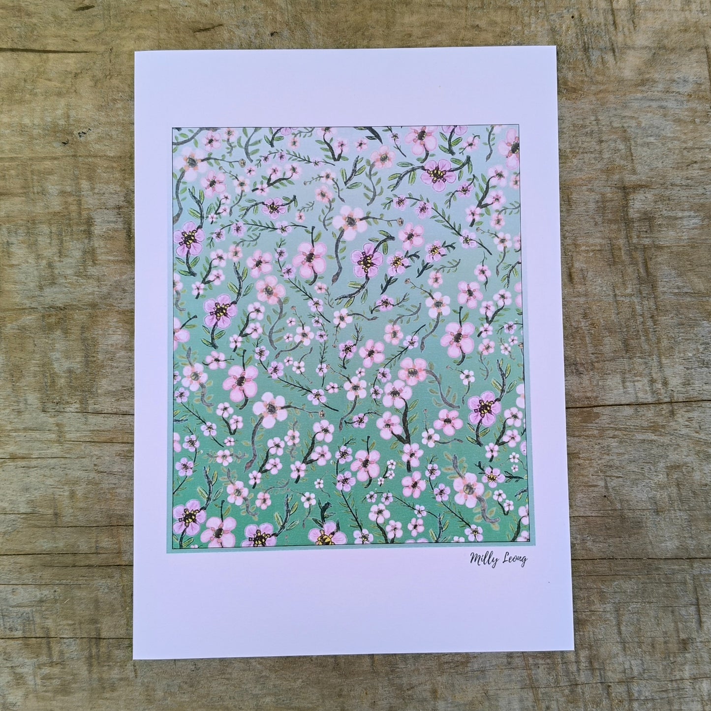 Hand-drawn image of New Zealand manuka flower by Milly avaiable in A4, A3, A2.