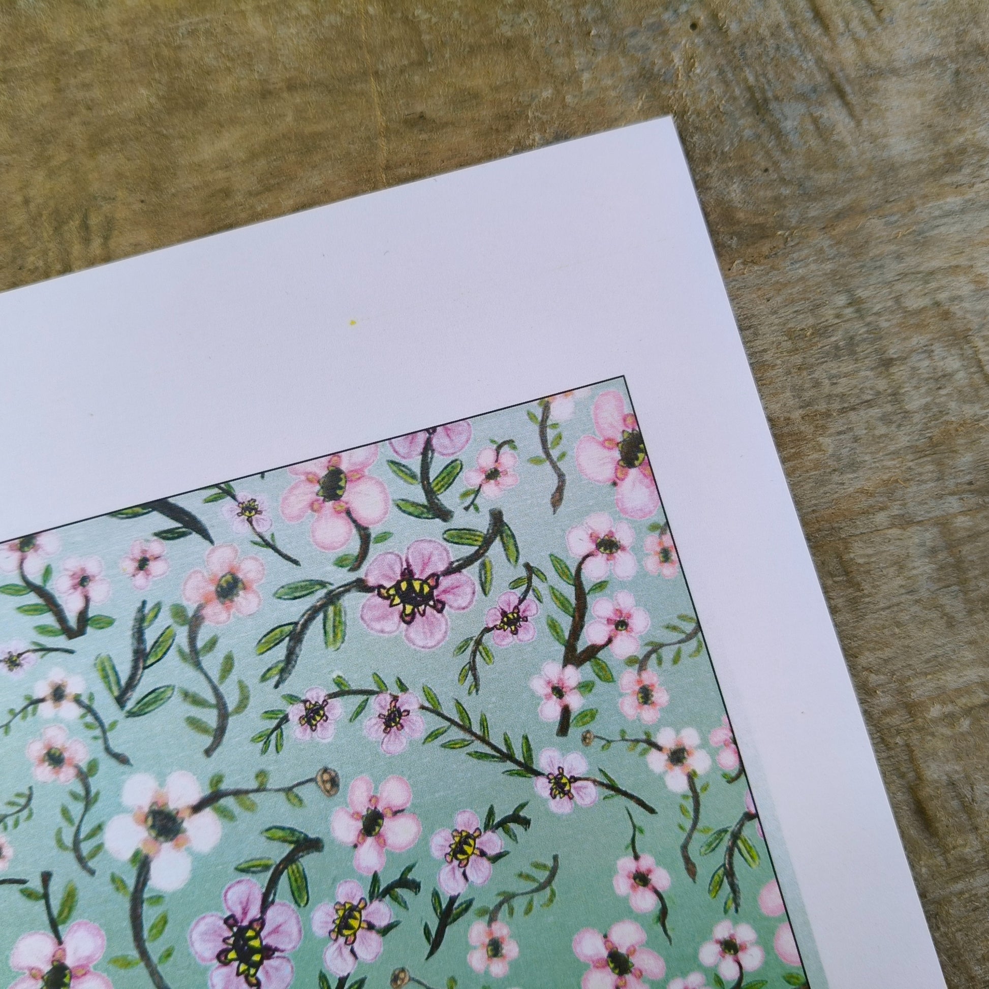Hand-drawn image of New Zealand manuka flower by Milly avaiable in A4, A3, A2.